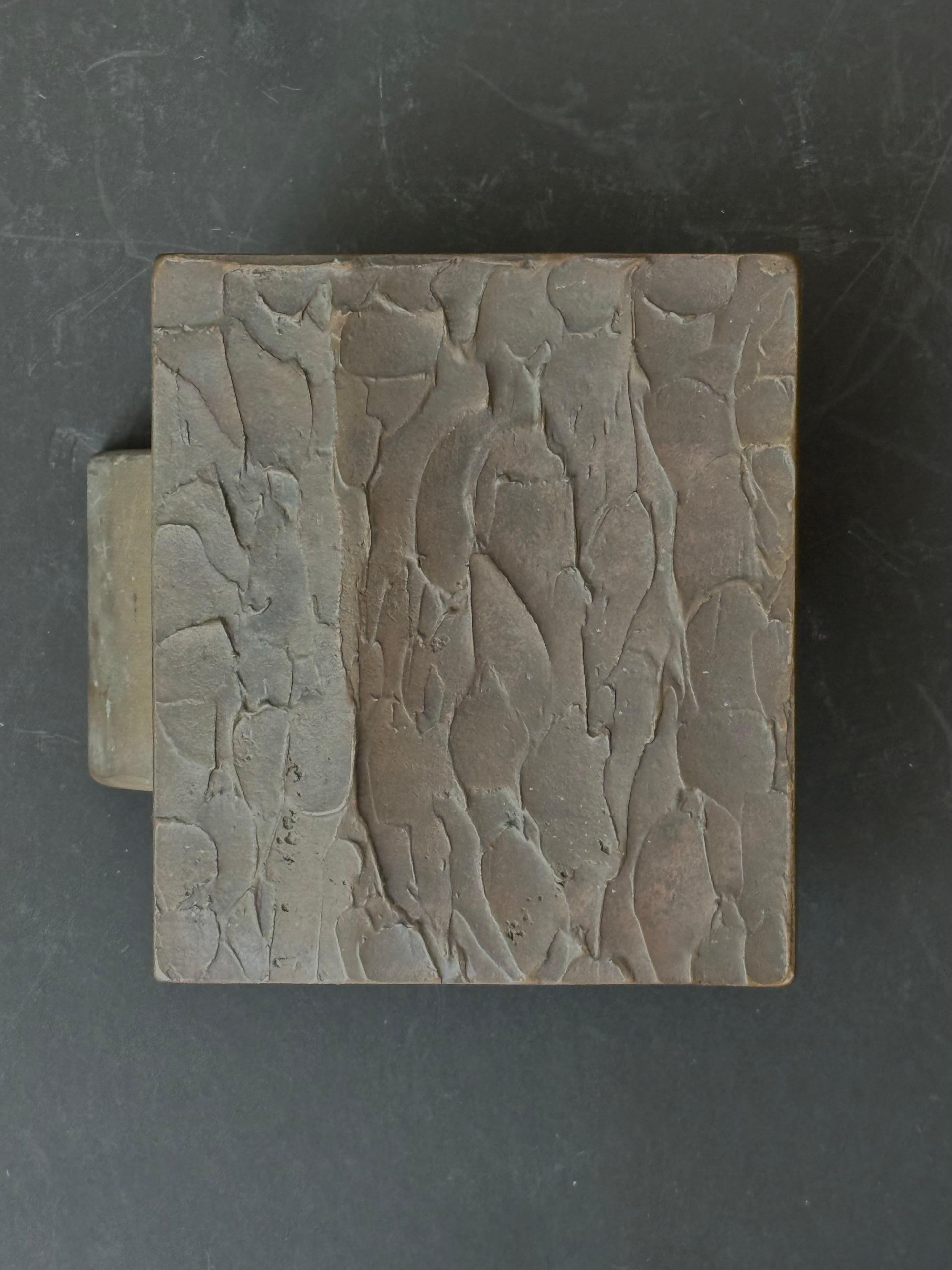 Inusual picaporte rectangular de bronce patinado, con un diseño en relieve texturado y contorneado. Diseño del siglo XX, encontrado en Alemania.

La pieza está muy bien hecha, y es inusualmente pesada, con una sensación artesanal. Está en estado