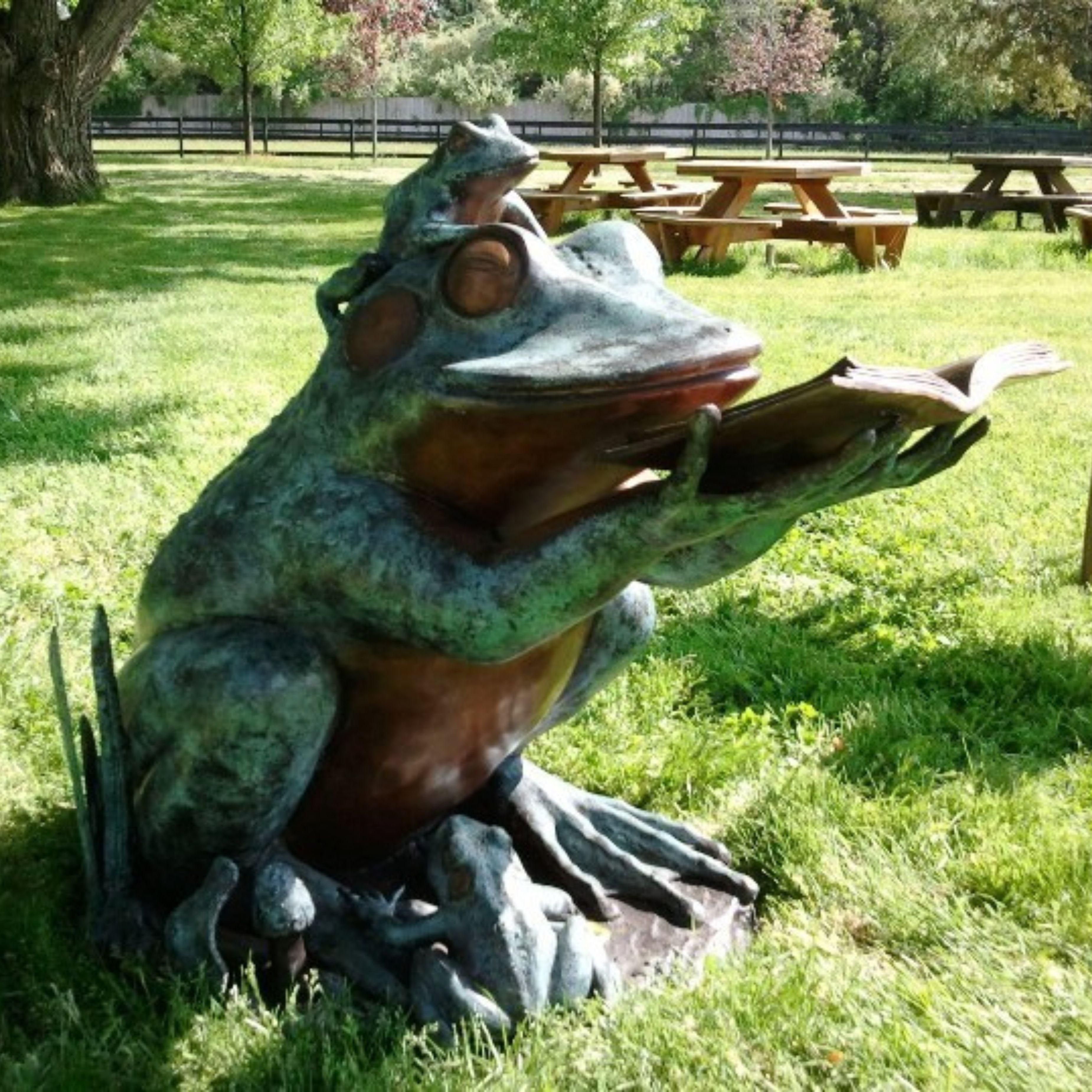 Sculpture d'animal de lecture en bronze, « Frog Prince » en vente 1