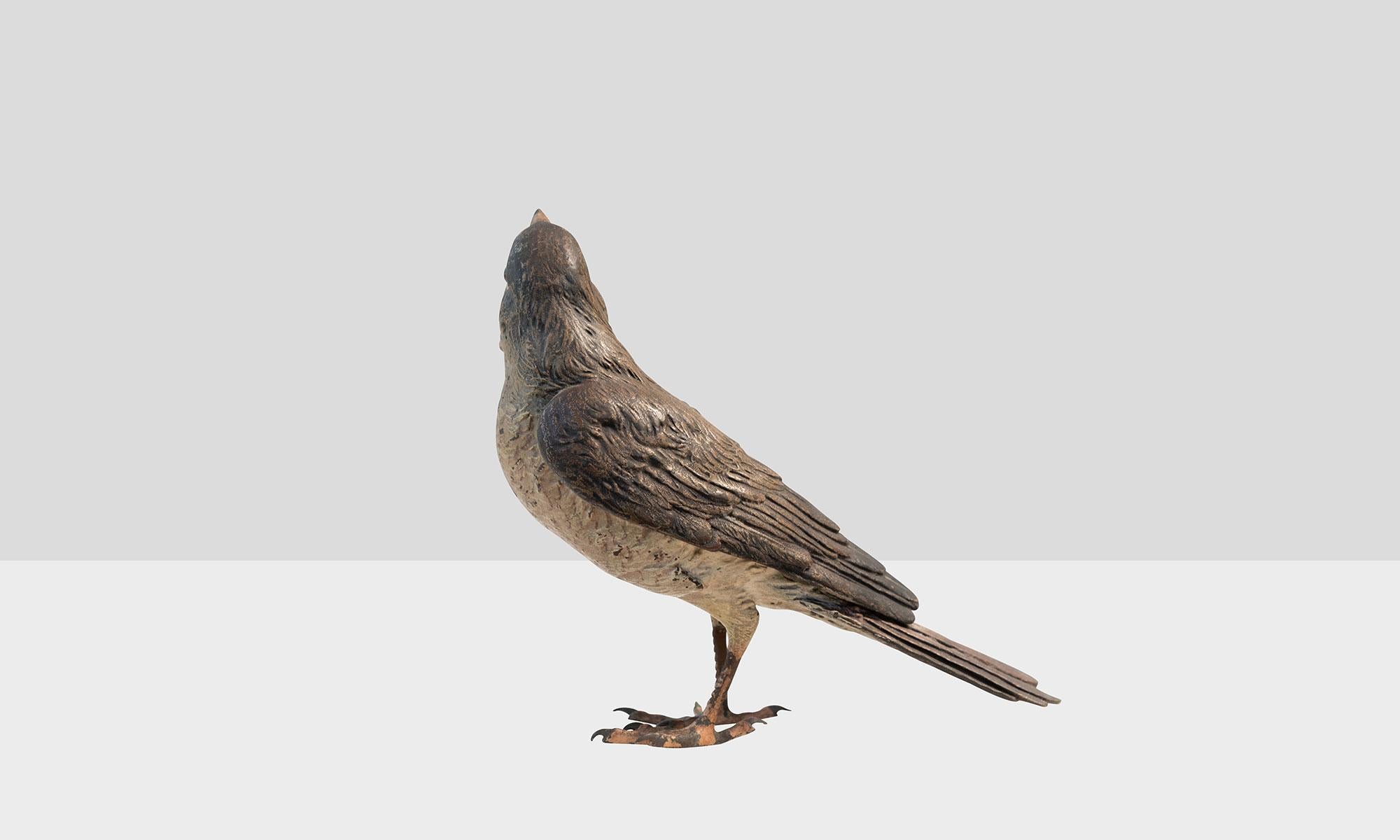Bronze Red Tailed Wild Bird In Good Condition In Culver City, CA