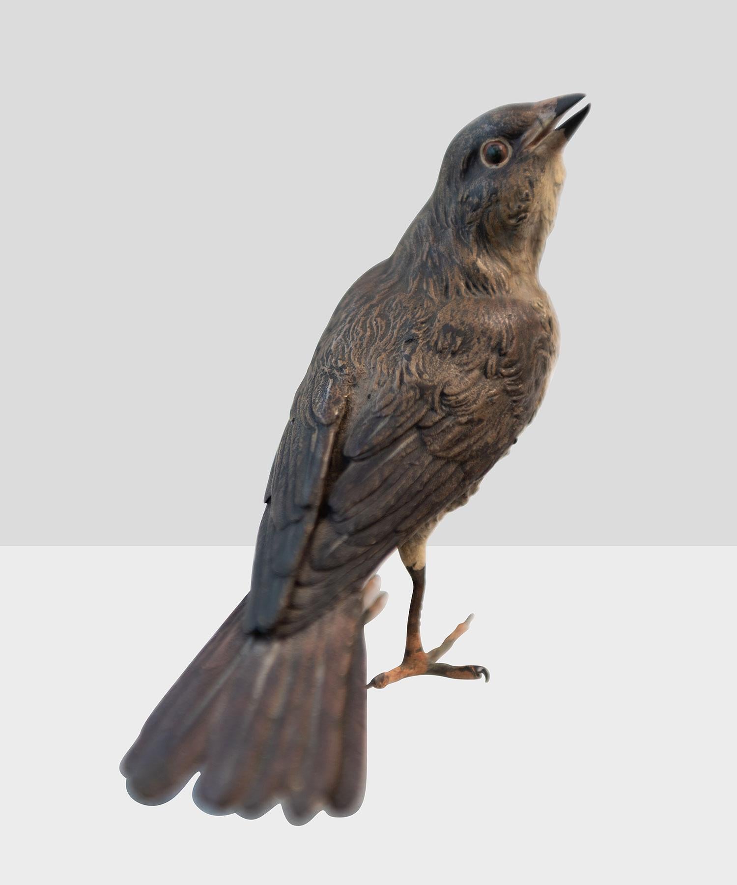 19th Century Bronze Red Tailed Wild Bird