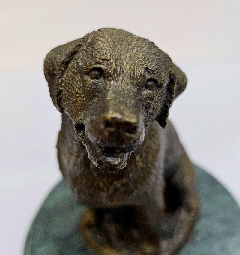 Bronze Reithund-Skulptur mit künstlerisch signiertem und nummeriertem Zertifikat, beigefügt im Angebot 10