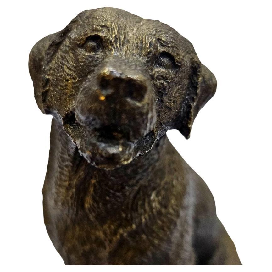 Scultura in bronzo di cane retriever con certificato numerato e firmato dall'artista allegato