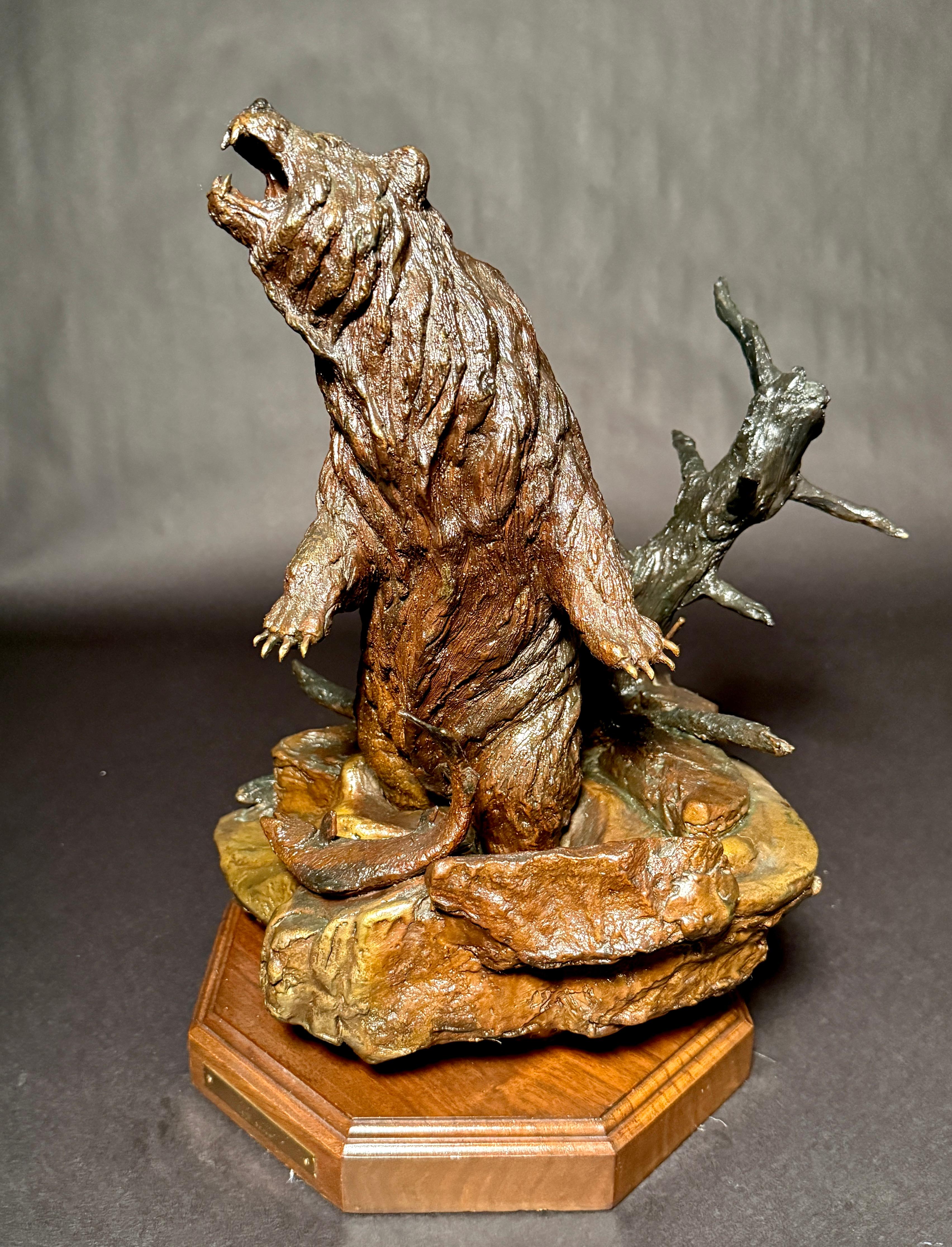 Nativo americano Orso ruggente in bronzo di Wally Shoop 