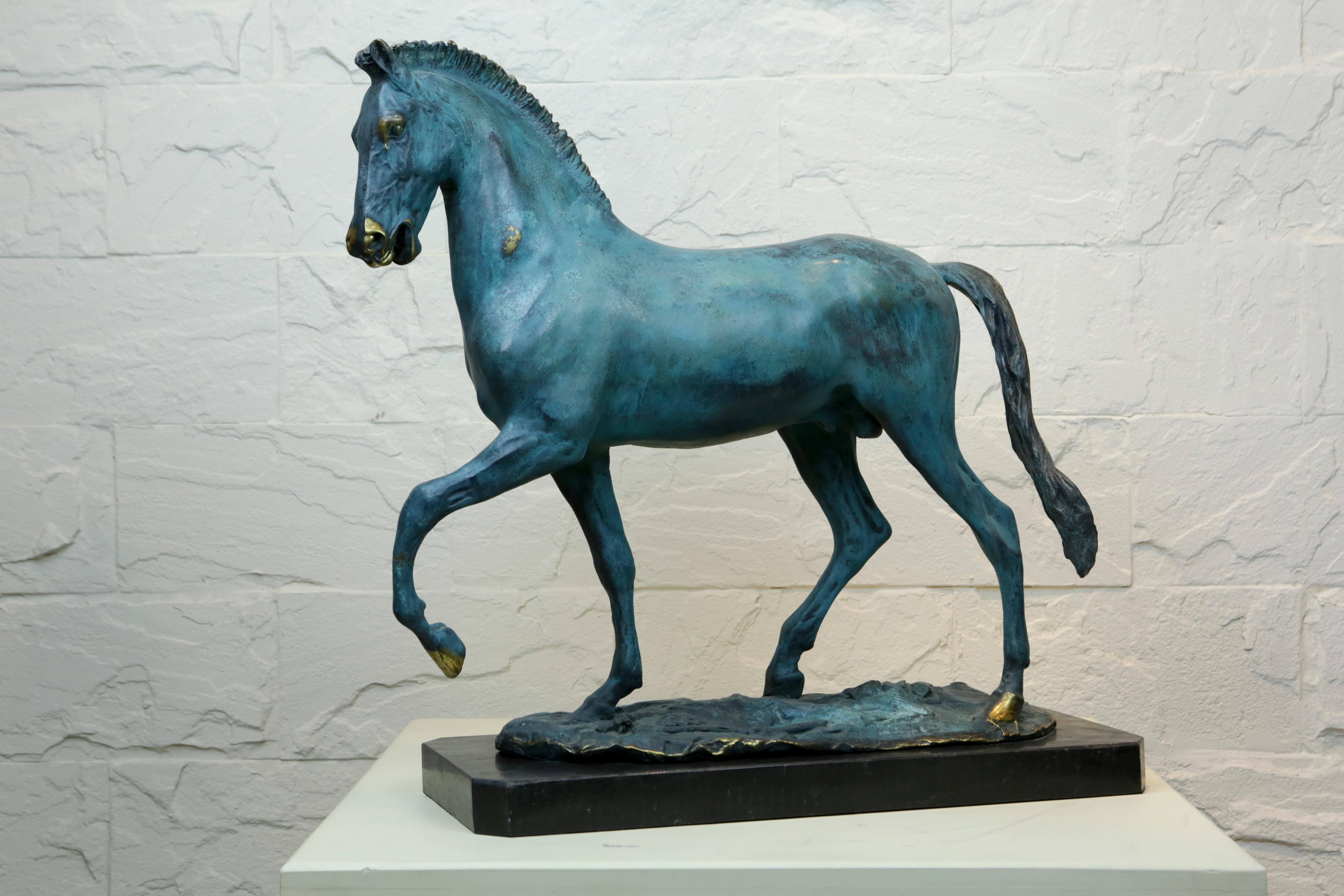 Bronze Roman War Horse.

When someone speaks of the Roman Empire, an initial thought to cross a person’s minds is the magnificent size of her dominions. Because of this vastness, Rome had to maintain an army that was capable of crushing any