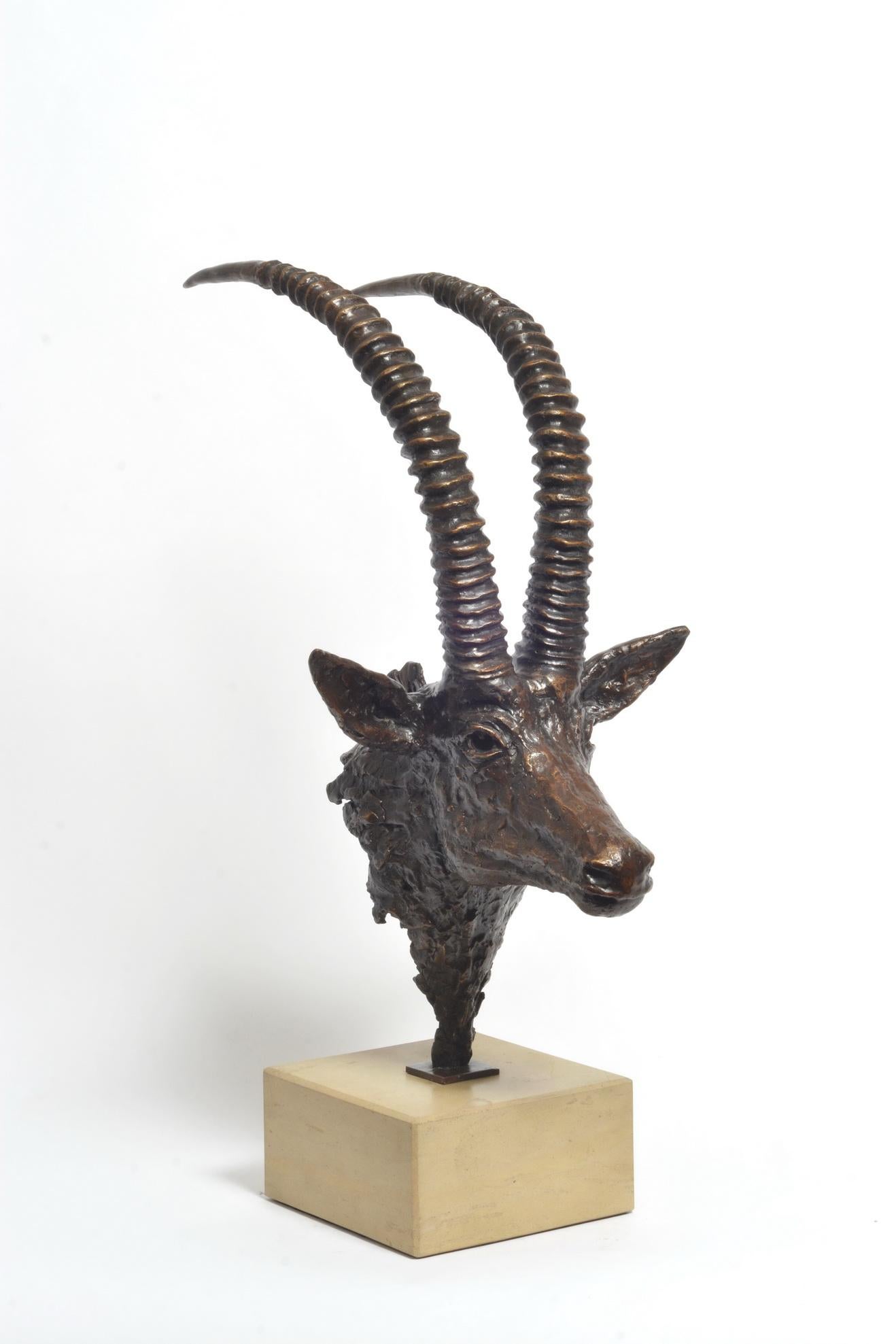 Busto di antilope di zibellino in bronzo
Scultura in bronzo su base in arenaria - Edizione limitata di 12 esemplari

È difficile dimenticare la prima volta che si vede un'antilope zibellino: il manto nero lucido, l'arco fiero del collo e quelle