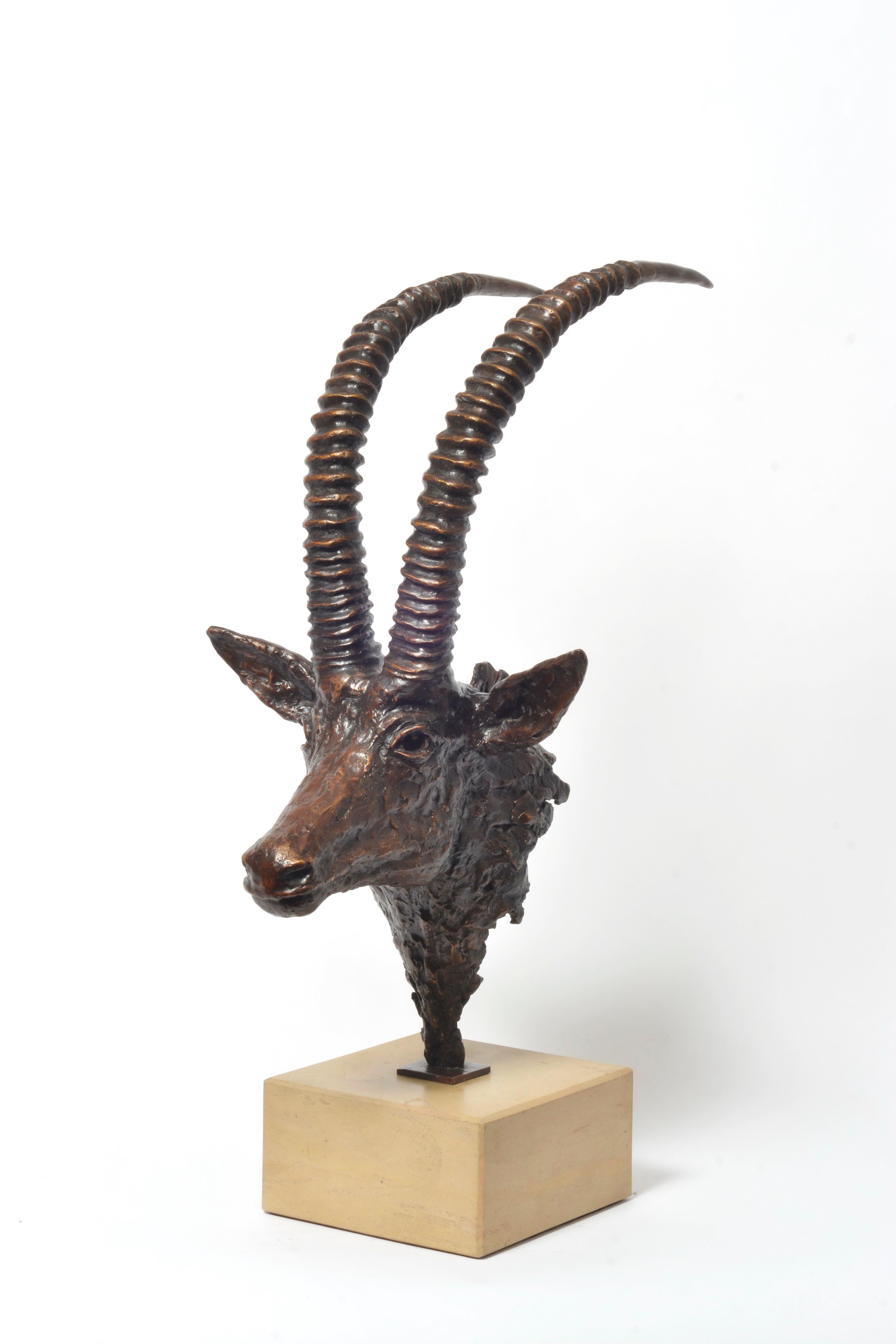 Espressionista Busto di antilope di zibellino in bronzo - Scultura di antilope africana in vendita