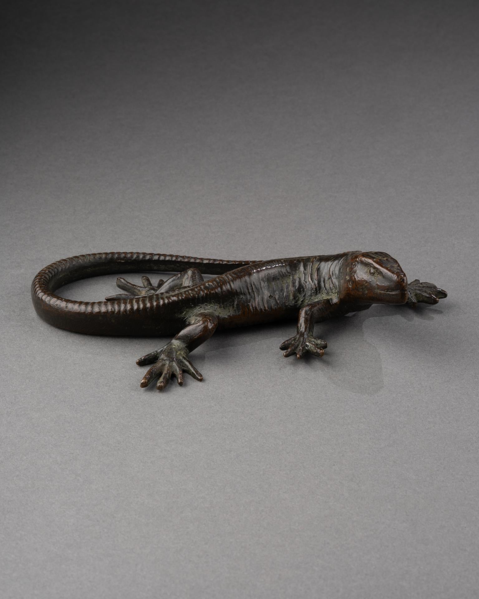 Salamandra di bronzo
Italia, XVII secolo
Bronzo patinato
4 x 17 x 10 cm

Questa salamandra in bronzo finemente fusa esemplifica il fascino del XVII secolo per le forme naturalistiche e il simbolismo animale. Riprodotto con notevoli dettagli e
