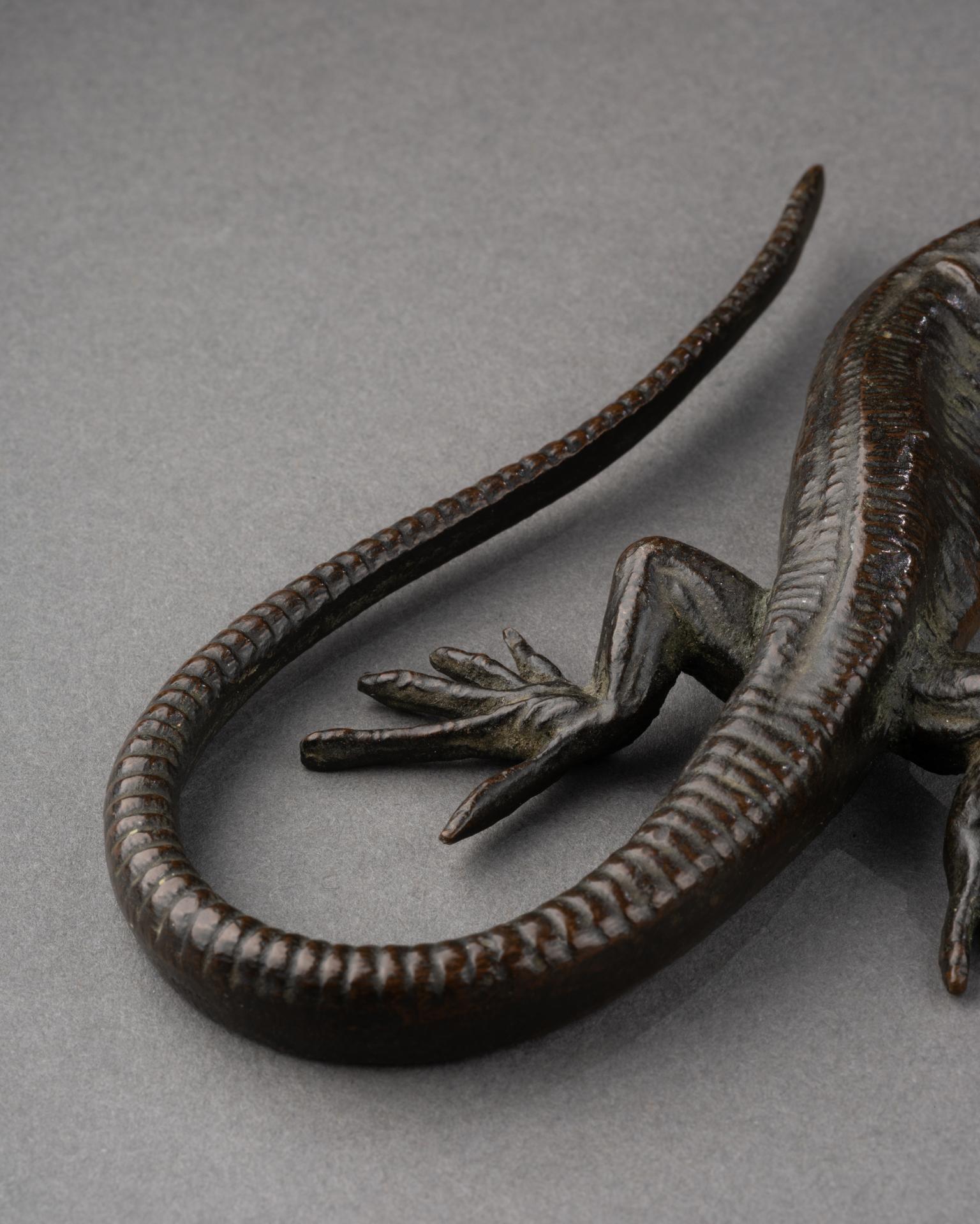Italiano Salamandra di bronzo - XVII secolo in vendita