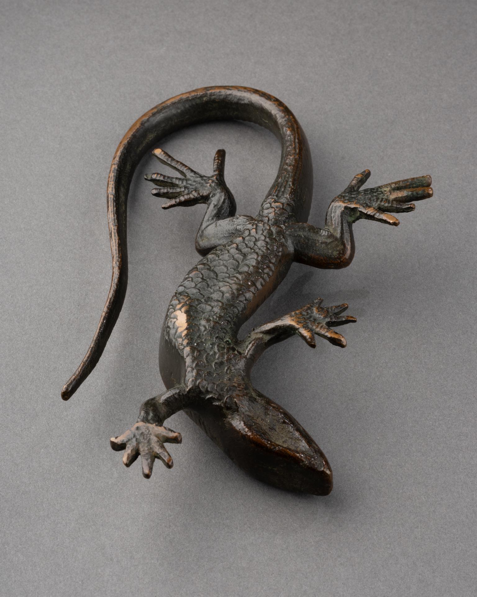 Calco Salamandra di bronzo - XVII secolo in vendita