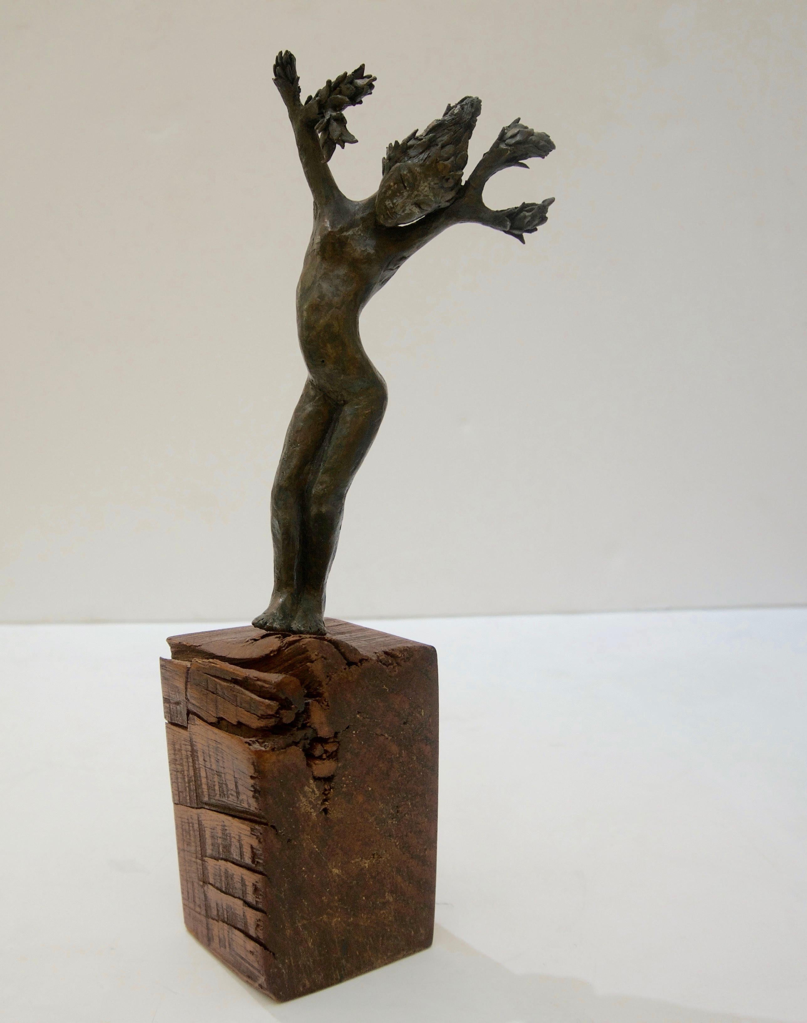 This midcentury bronze sculpture was acquired from a Palm Beach estate and depicts from Greek mythology Daphne turning into a laurel tree to keep herself from Apollo.

Note: Sculpture is signed and dated on the wood base (see image #3).

Note: