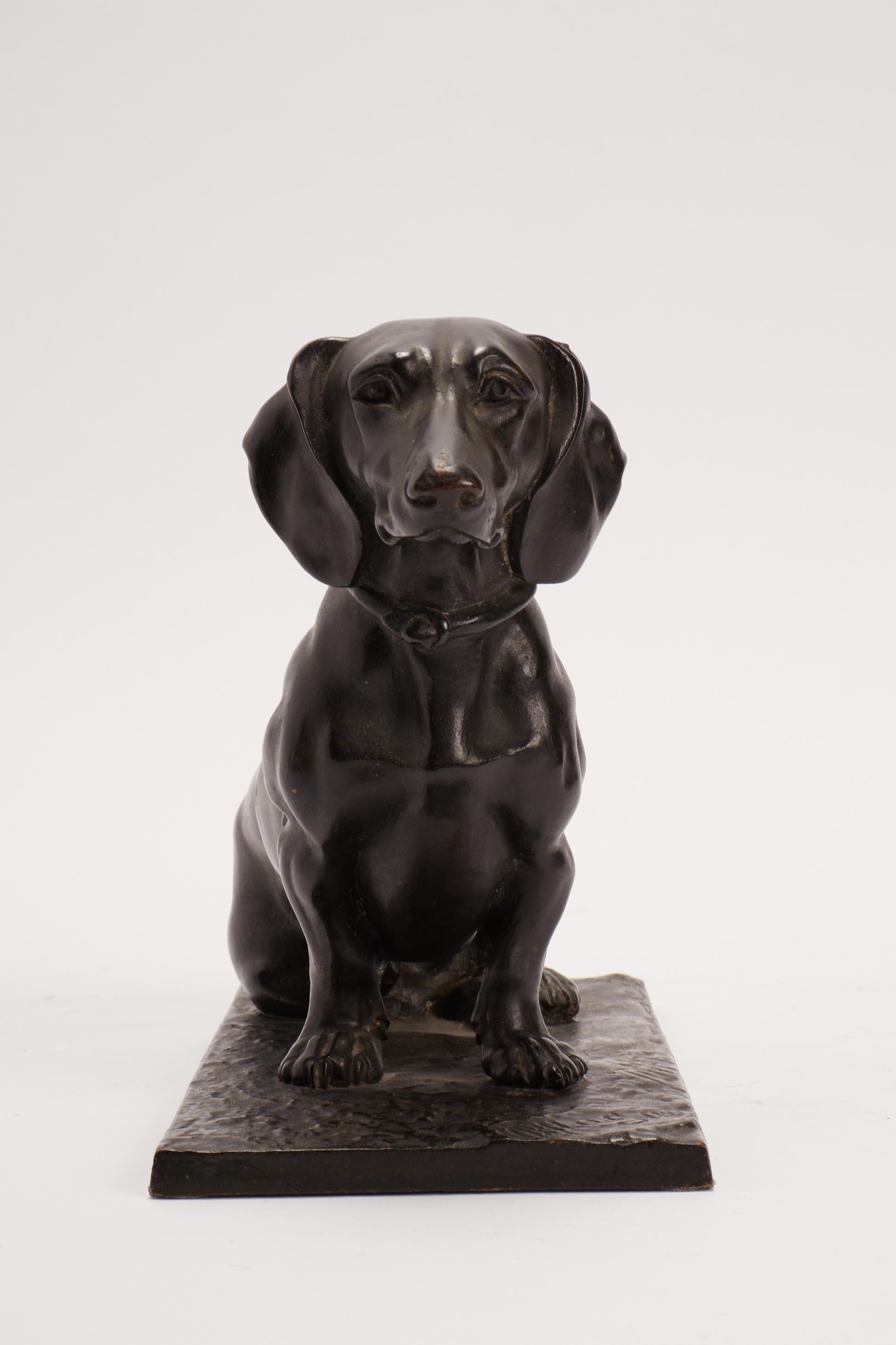 Bronze sculpture depicting a seating dachshund dog. Signed Plug, Germany, circa 1890.