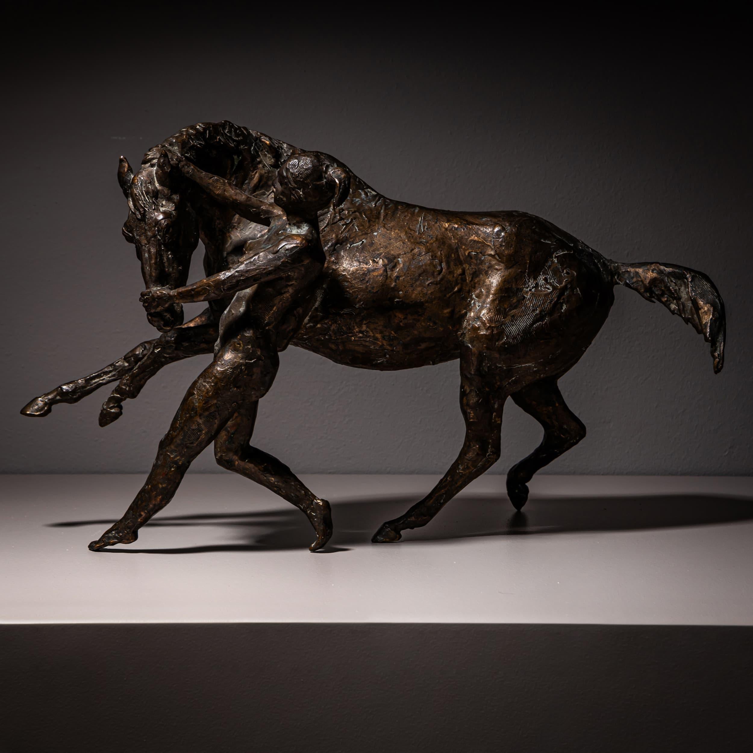 Bronze Sculpture, Horse with Female Nude, Probably Early 20th Century For Sale 2