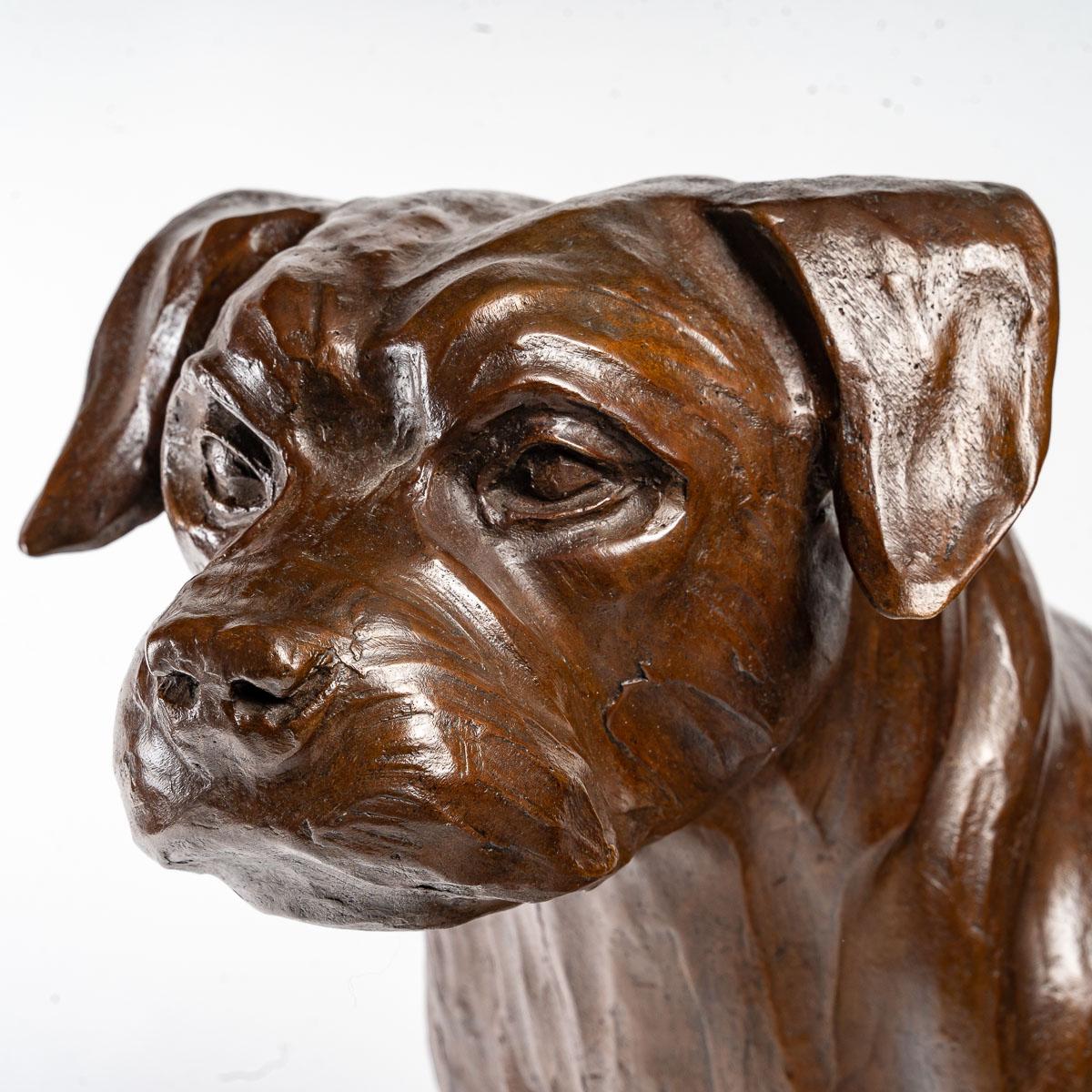 Modern Bronze Sculpture of a Border Terrier by Adrien David