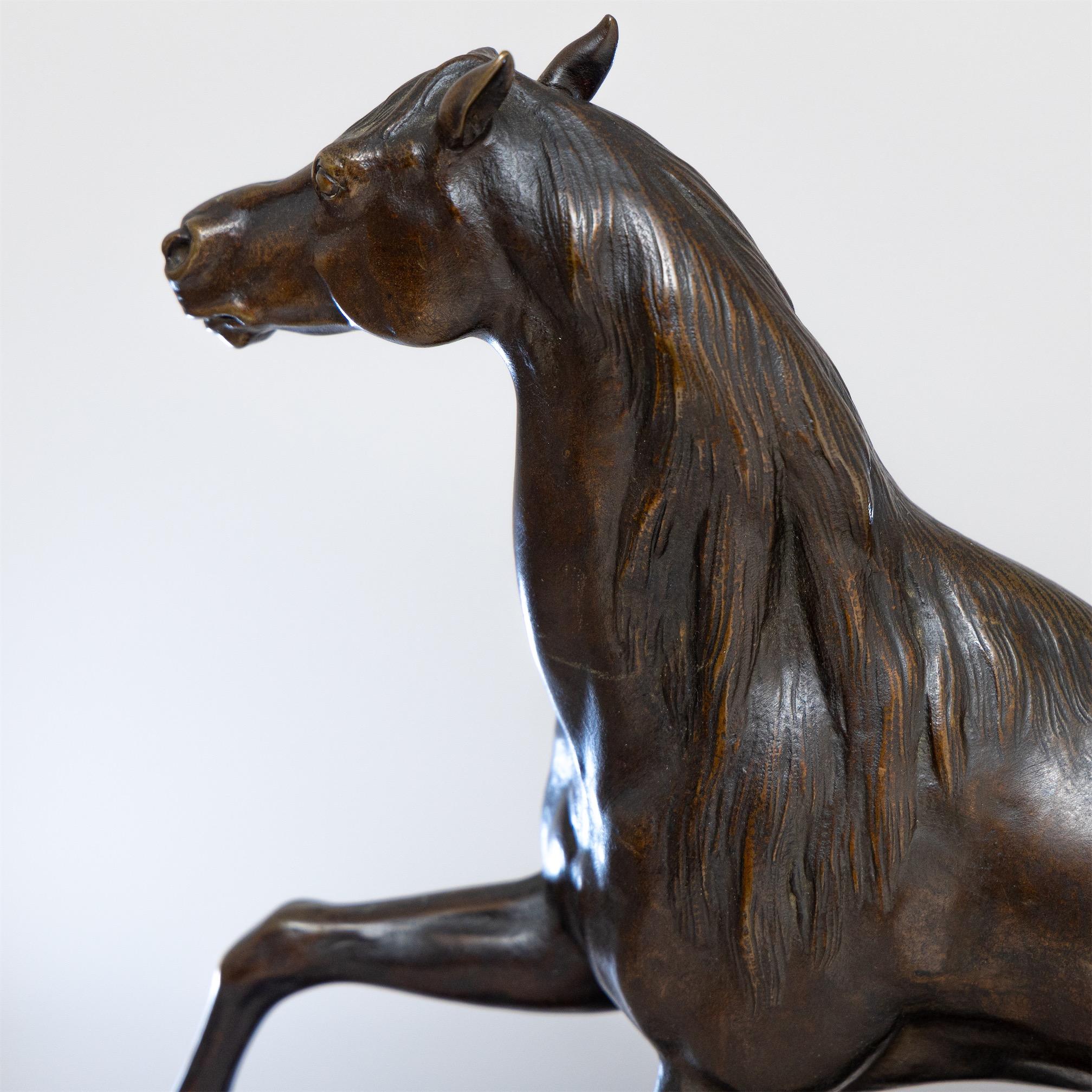 Bronze Sculpture of a Horse, 19th Century 1