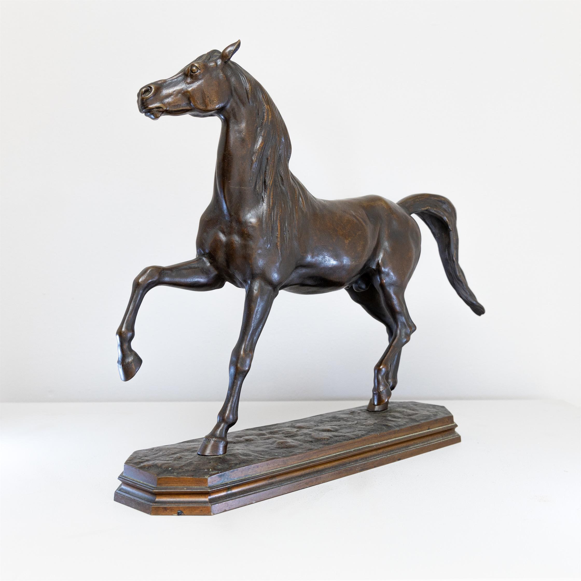 Bronze Sculpture of a Horse, 19th Century 4