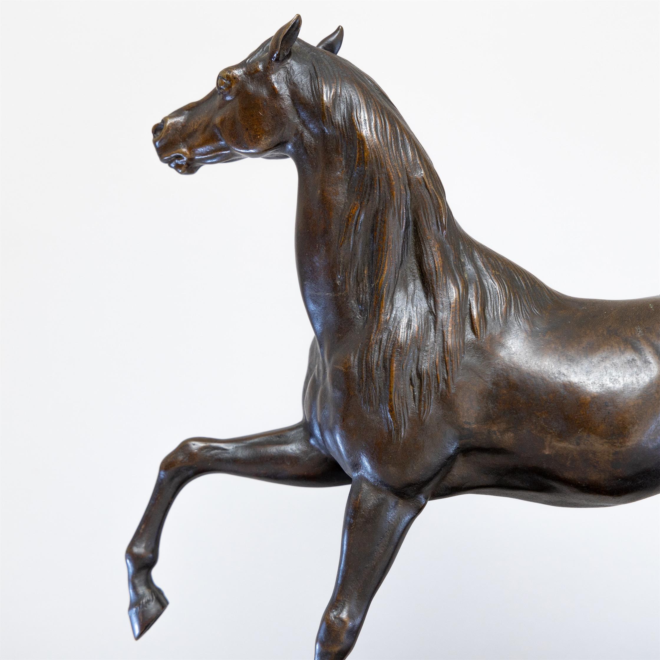 Bronze Sculpture of a Horse, 19th Century 6