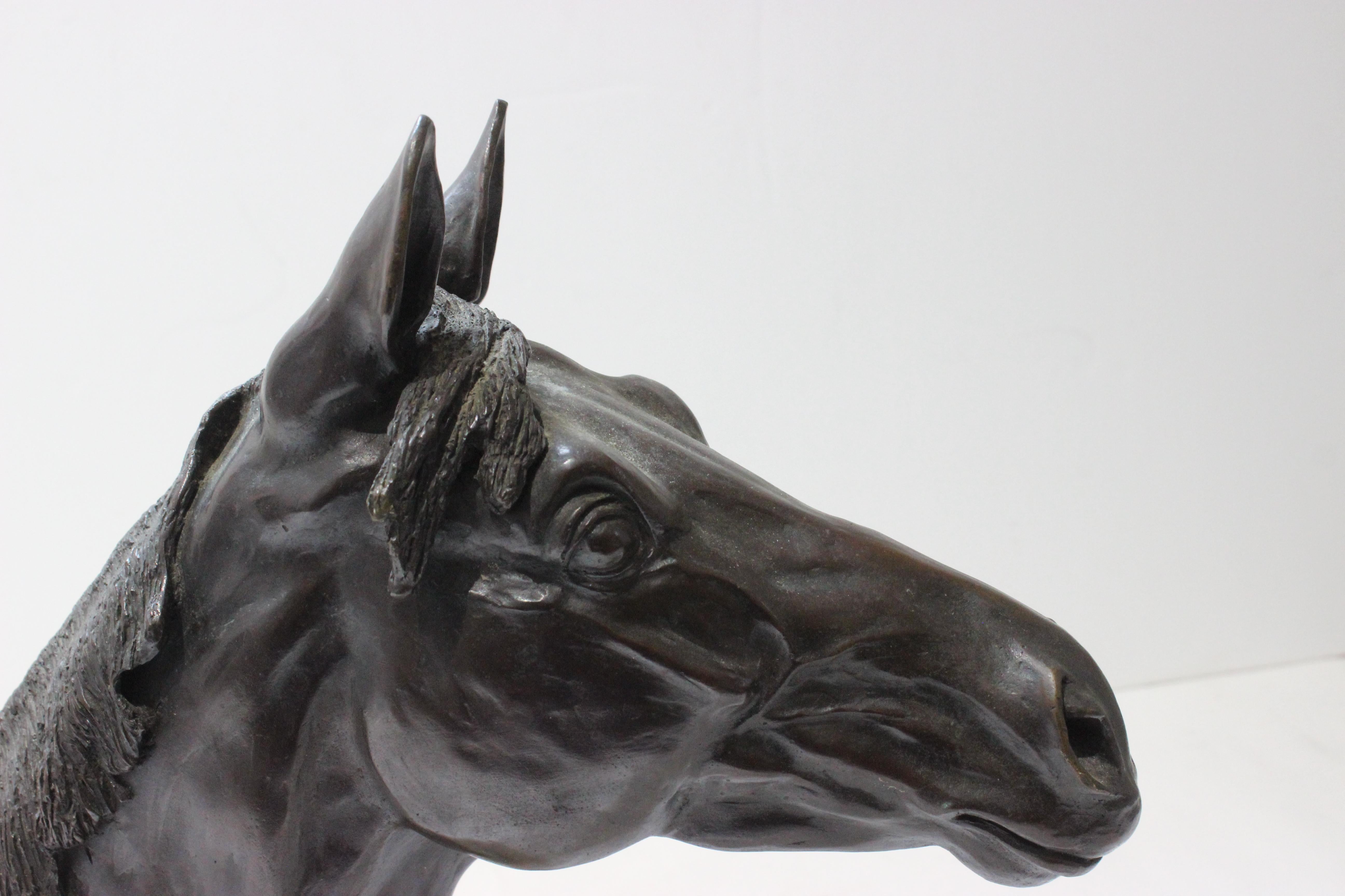 Bronze Sculpture of a Horse Head by Nancy Weimer Belden For Sale 5