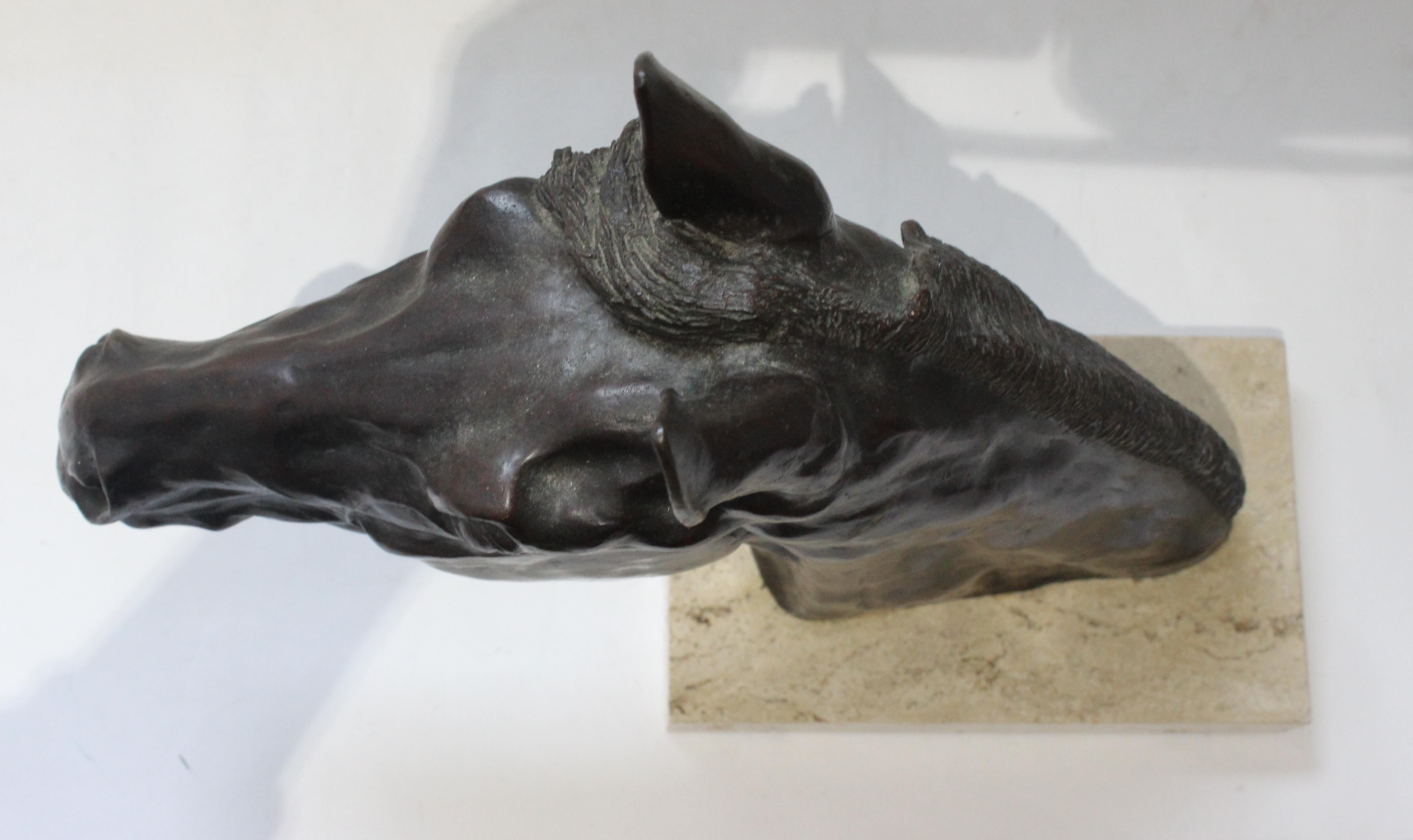 Bronze Sculpture of a Horse Head by Nancy Weimer Belden For Sale 1