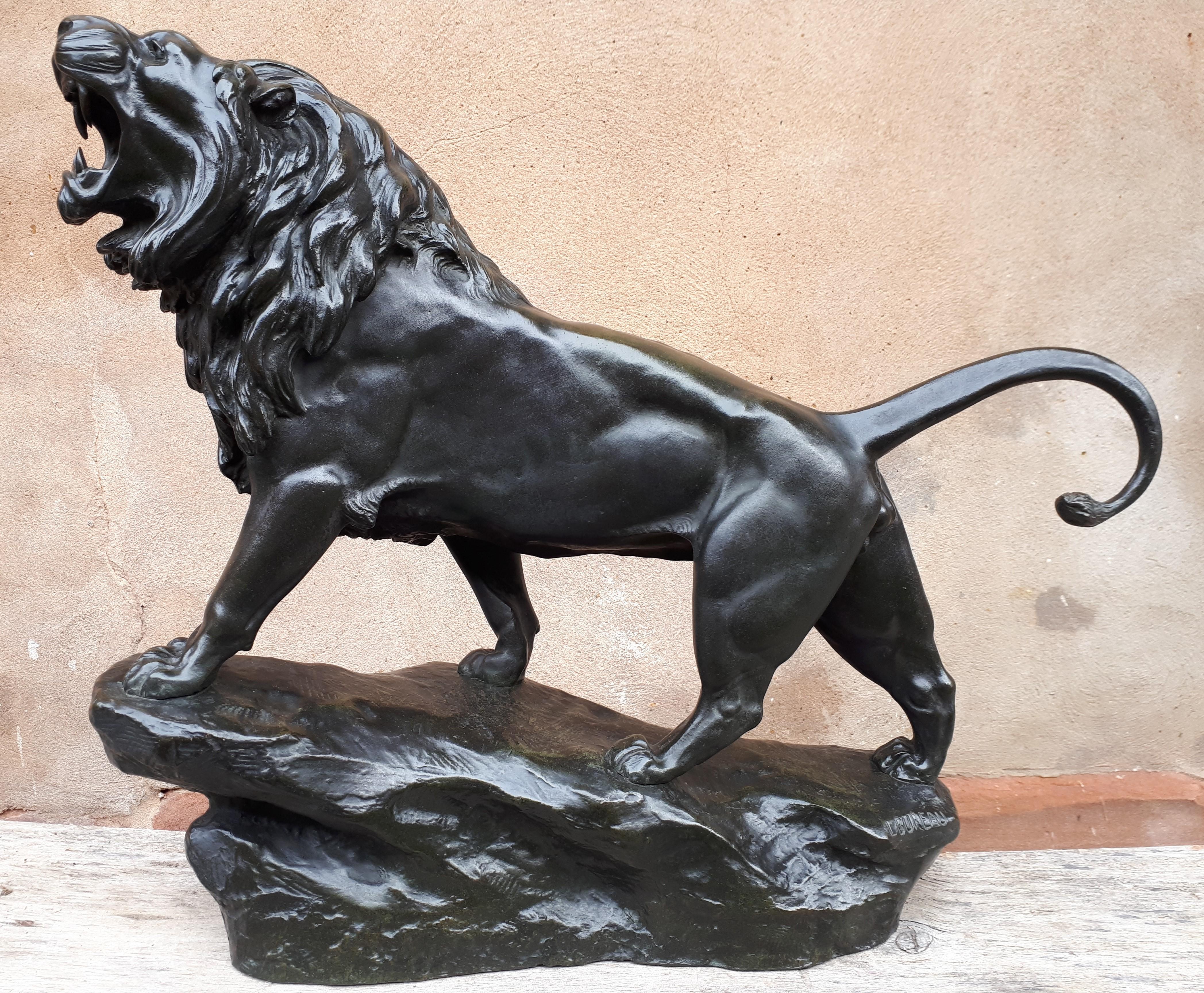Bronze sculpture with black patina with green nuances representing a lion on a rock, roaring, majestic.
Signed 