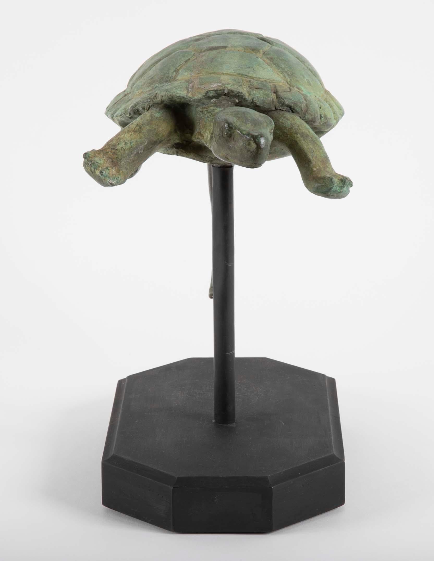 Bronze turtle possibly Italian from the fountain of Lenox, MA estate “Elm
Court”.