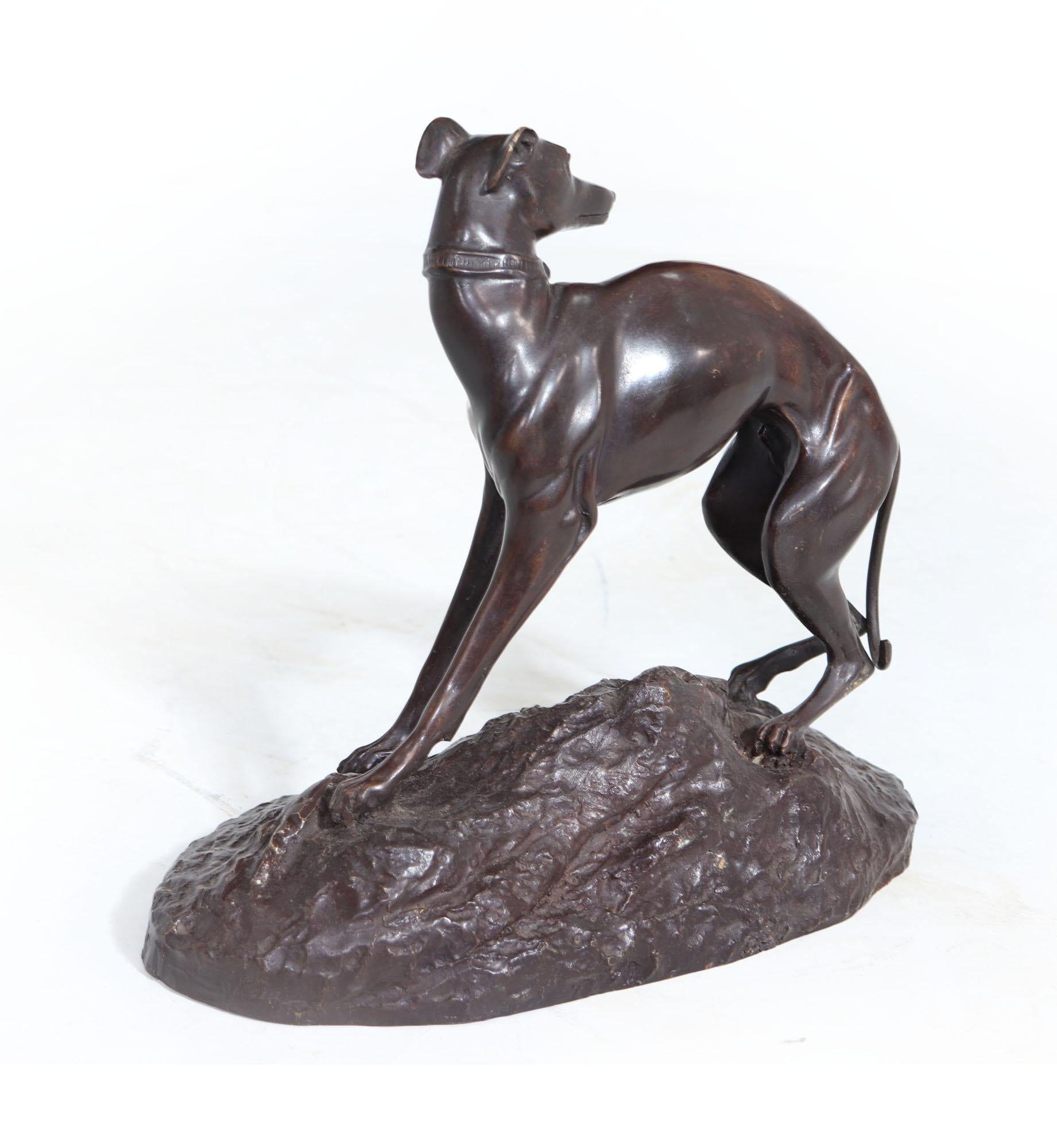 A French bronze sculpture of a whippet created by Jean Francois Getcher (1976 - 1844). The Whippet has great form with good muscle definition wearing a collar with his head turned back, standing on a rocky mound that is inscribed with the artist
