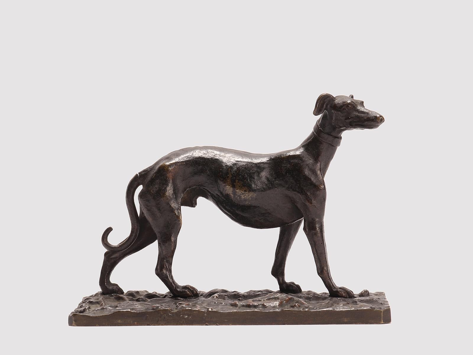 Sculpture of an italian grayhound. Patinated bronze. The moved base is engraved with decorative motives. Original patina. France circa 1880.