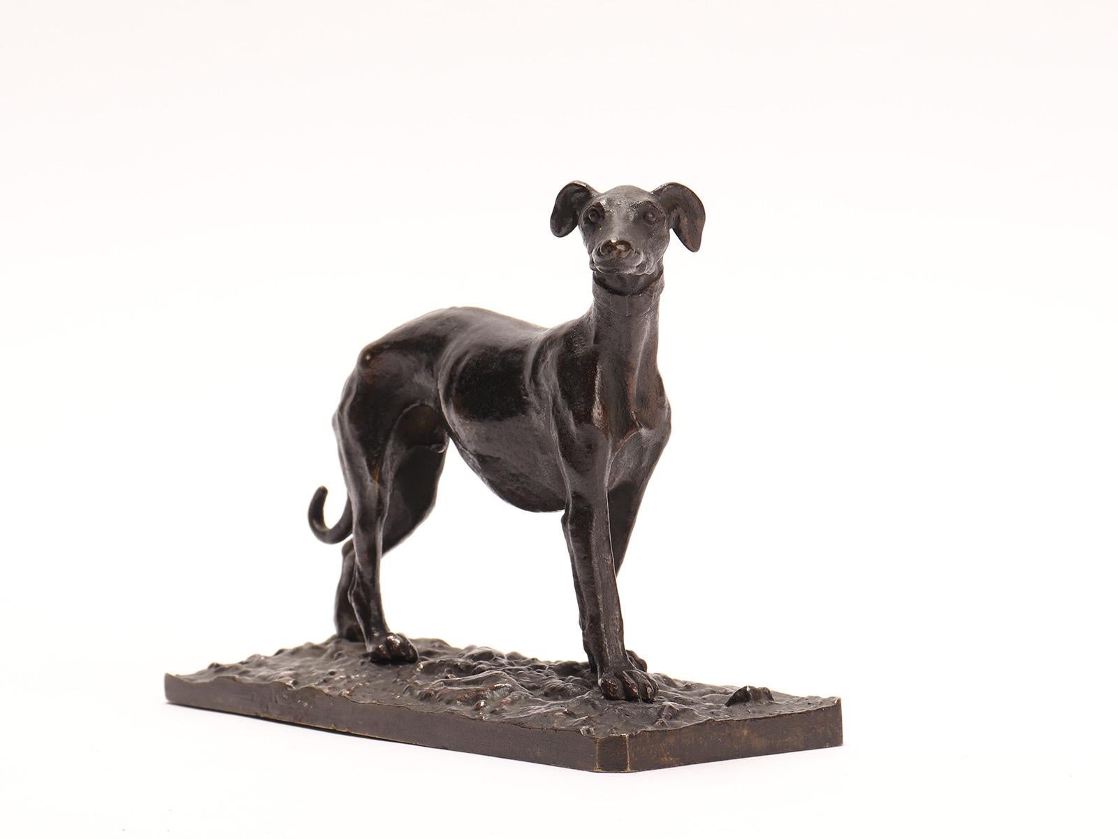 Sculpture italienne en bronze d'un chien de lévrier, France, 1880 Bon état - En vente à Milan, IT