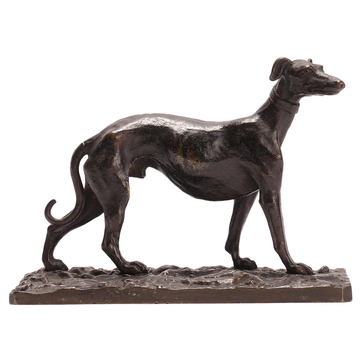 Sculpture italienne en bronze d'un chien de lévrier, France, 1880 en vente