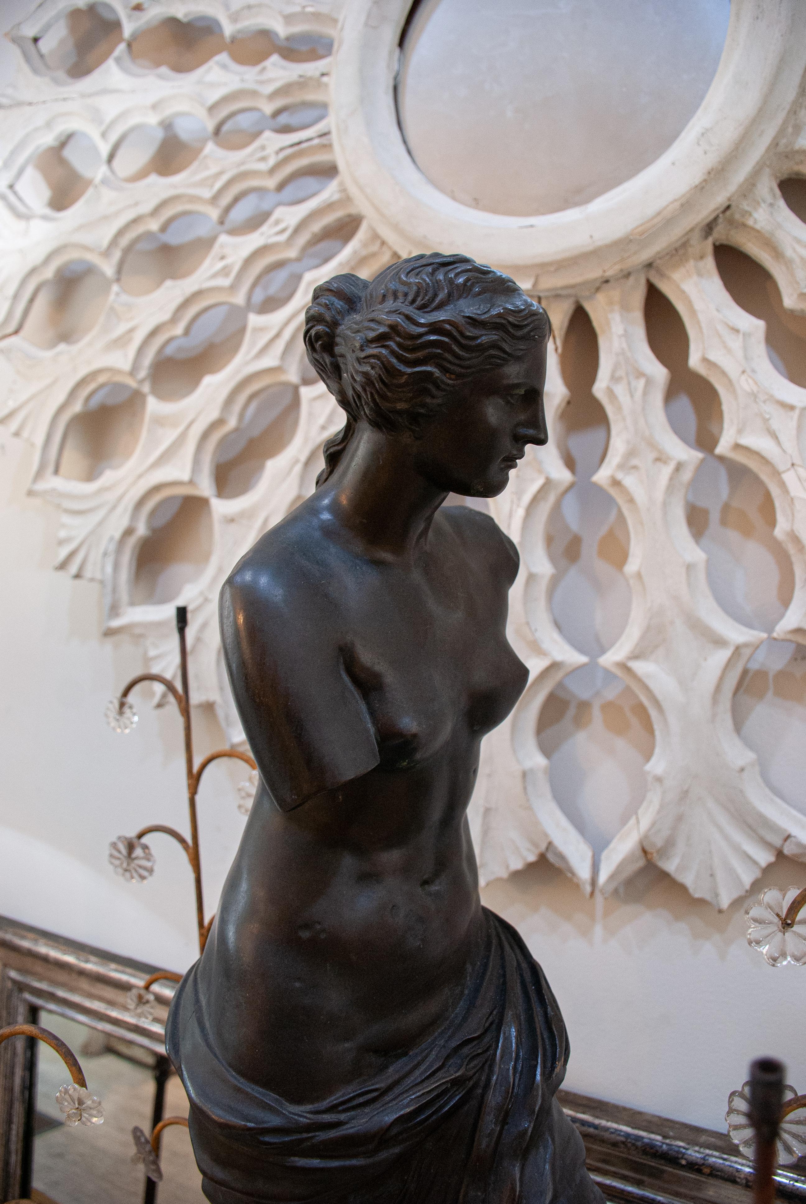 Bronze Sculpture of Venus de Milo 2