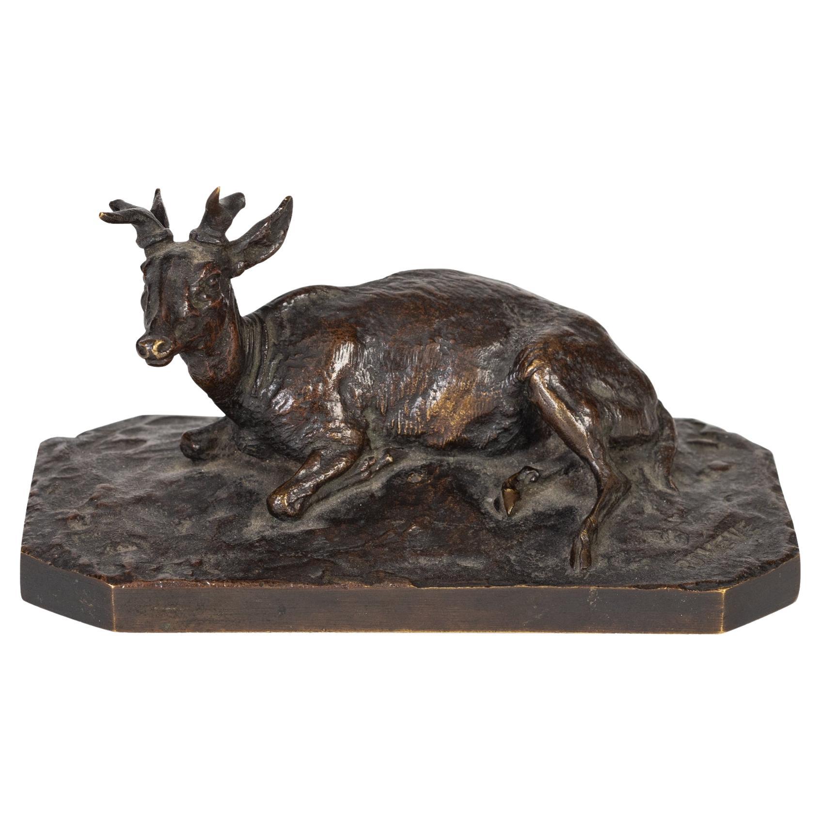 Bronze Sculpture of Young Stag by Pierre-Jules Mene For Sale