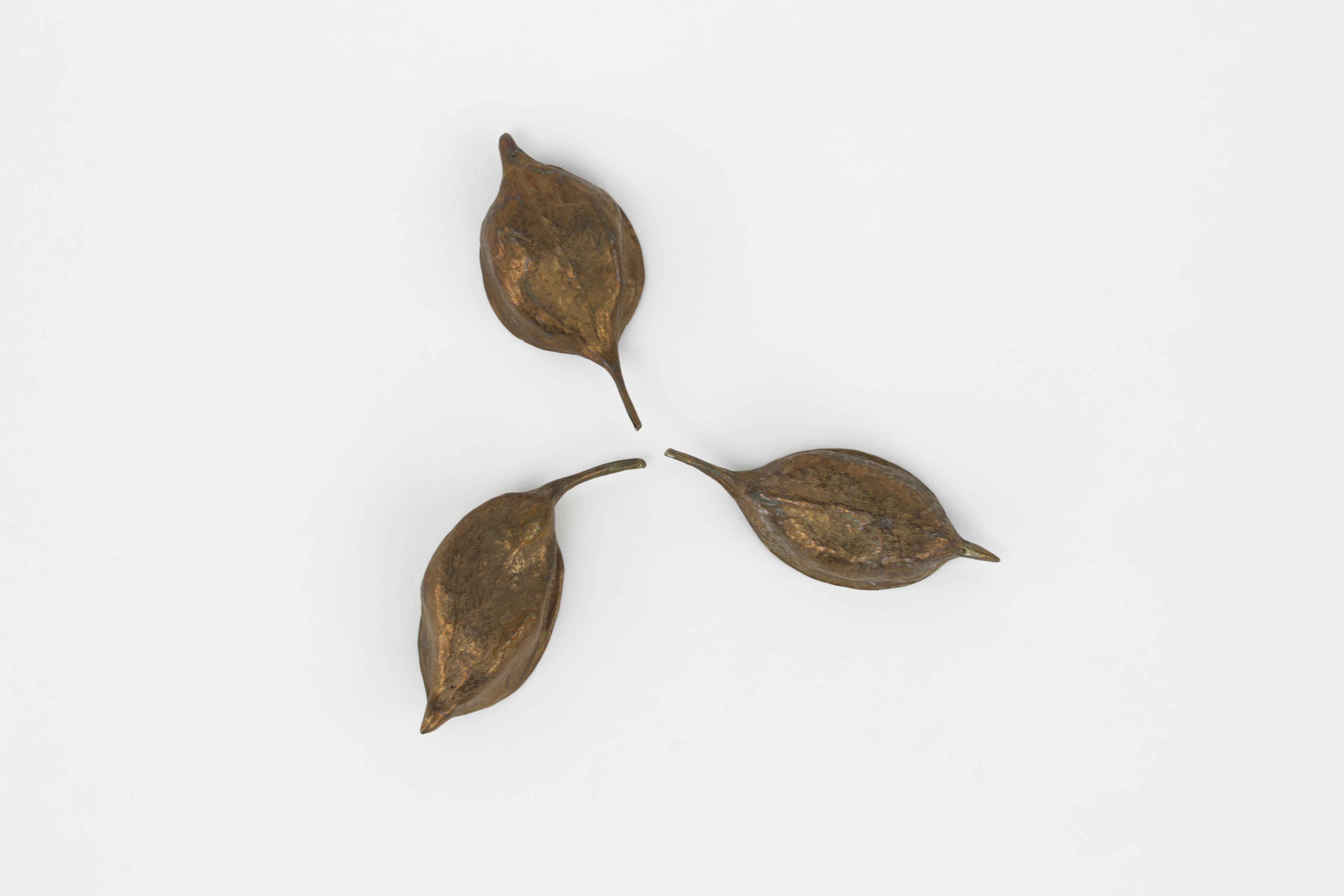 Seed Pod Catchall, 3er-Set aus Bronze von Christopher Kreiling  (amerikanisch) im Angebot