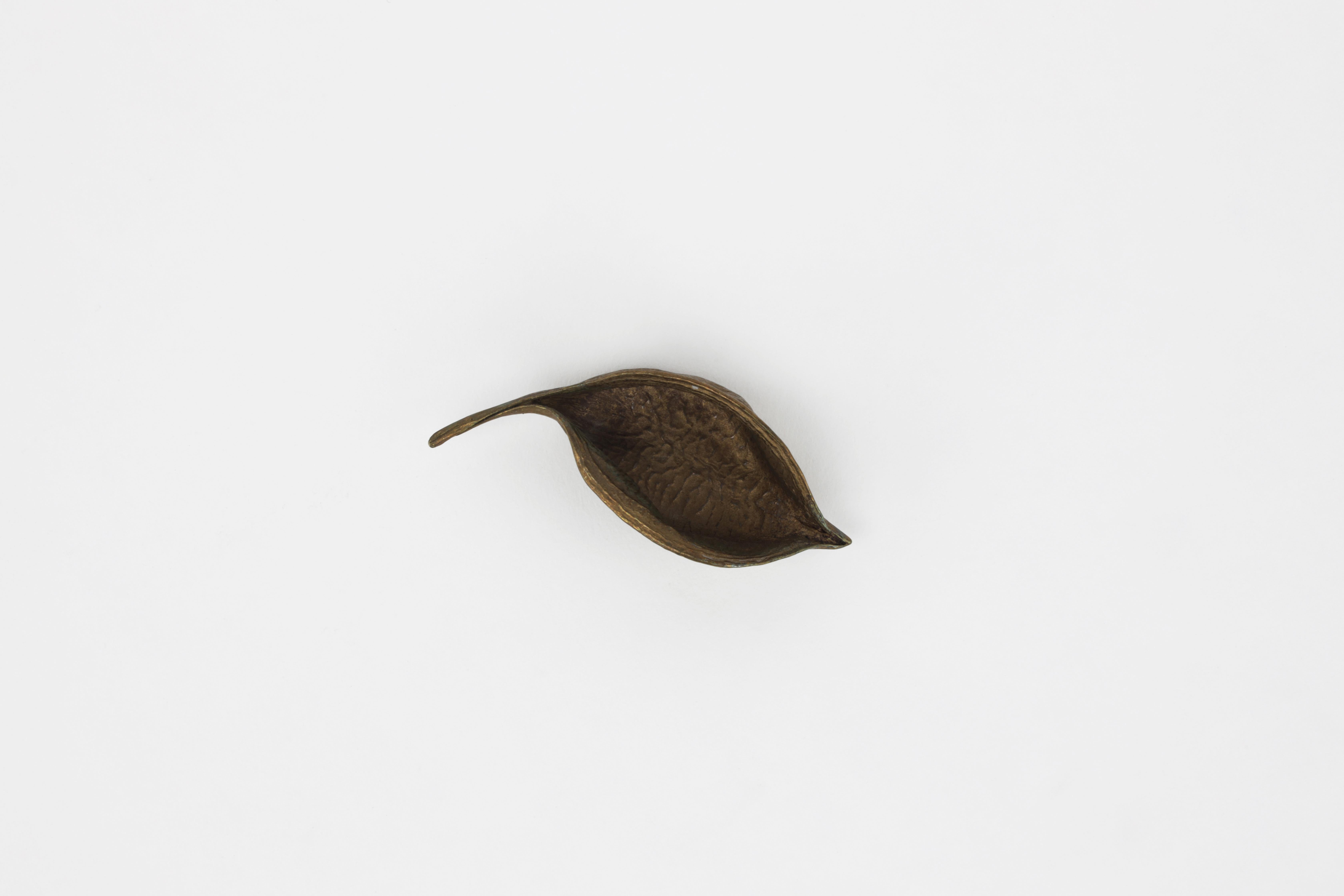 Seed Pod Catchall, 3er-Set aus Bronze von Christopher Kreiling  im Angebot 3