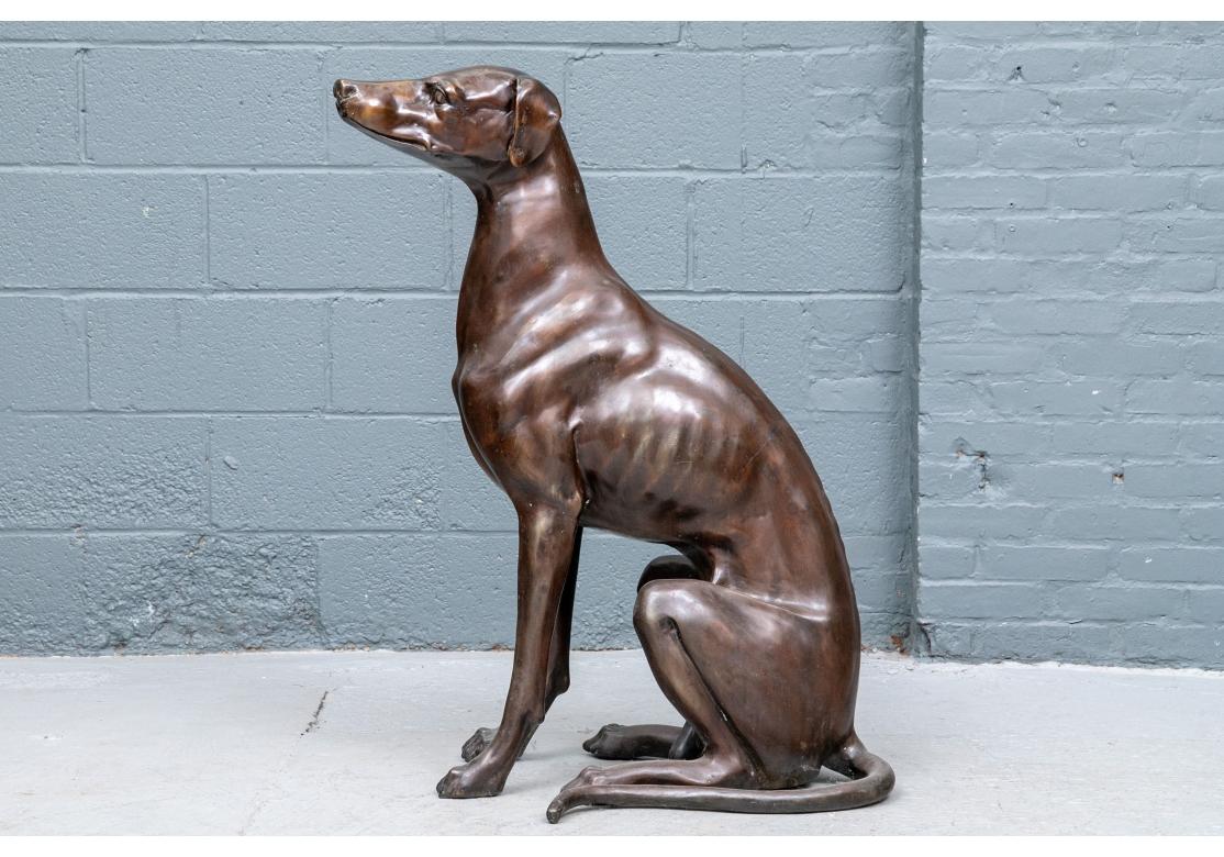 20th Century Bronze Sitting Life Size Greyhound Sculpture For Sale