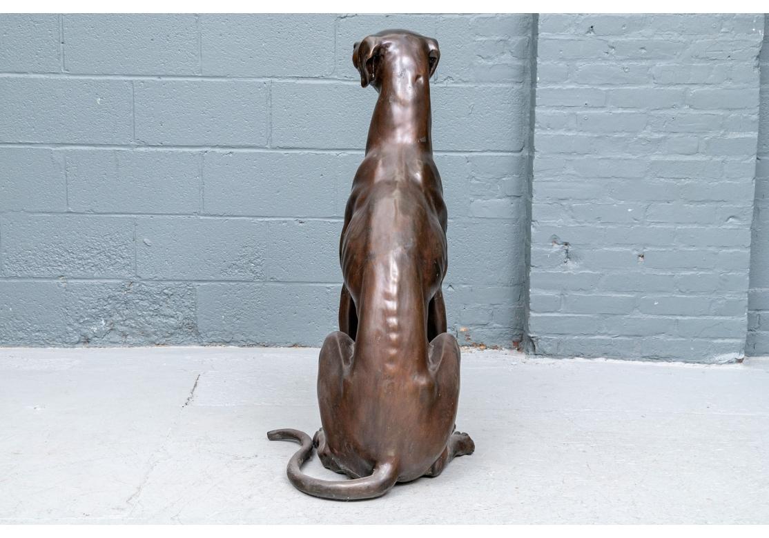 Bronze Sitting Life Size Greyhound Sculpture For Sale 1