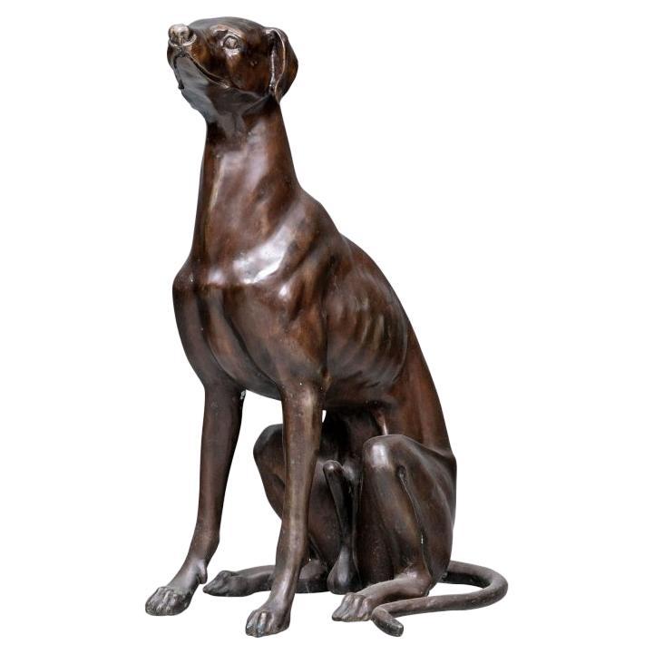 Sculpture en bronze de lévrier assis grandeur nature