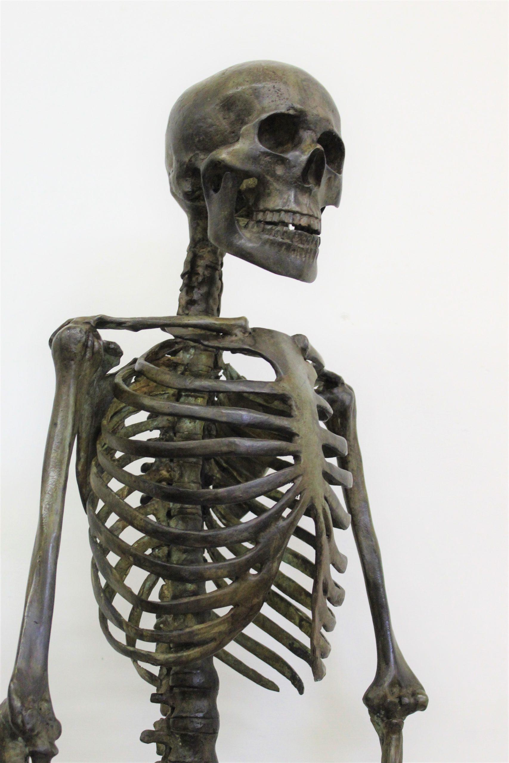 Late 20th Century Bronze Skeleton For Sale