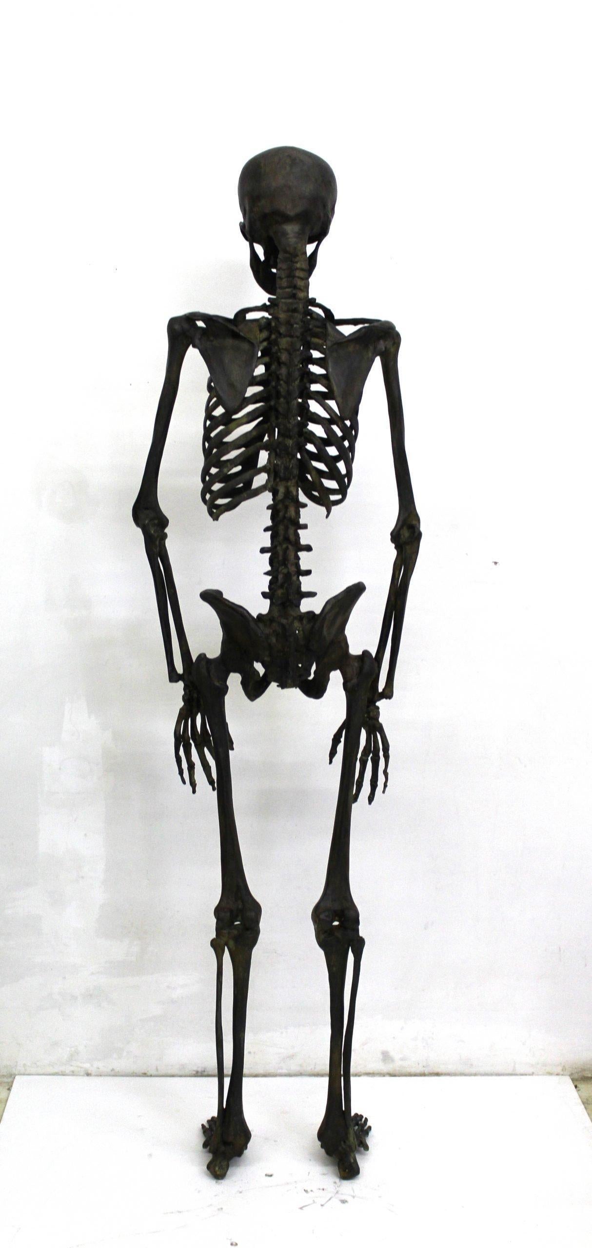 Bronze Squelette en bronze en vente