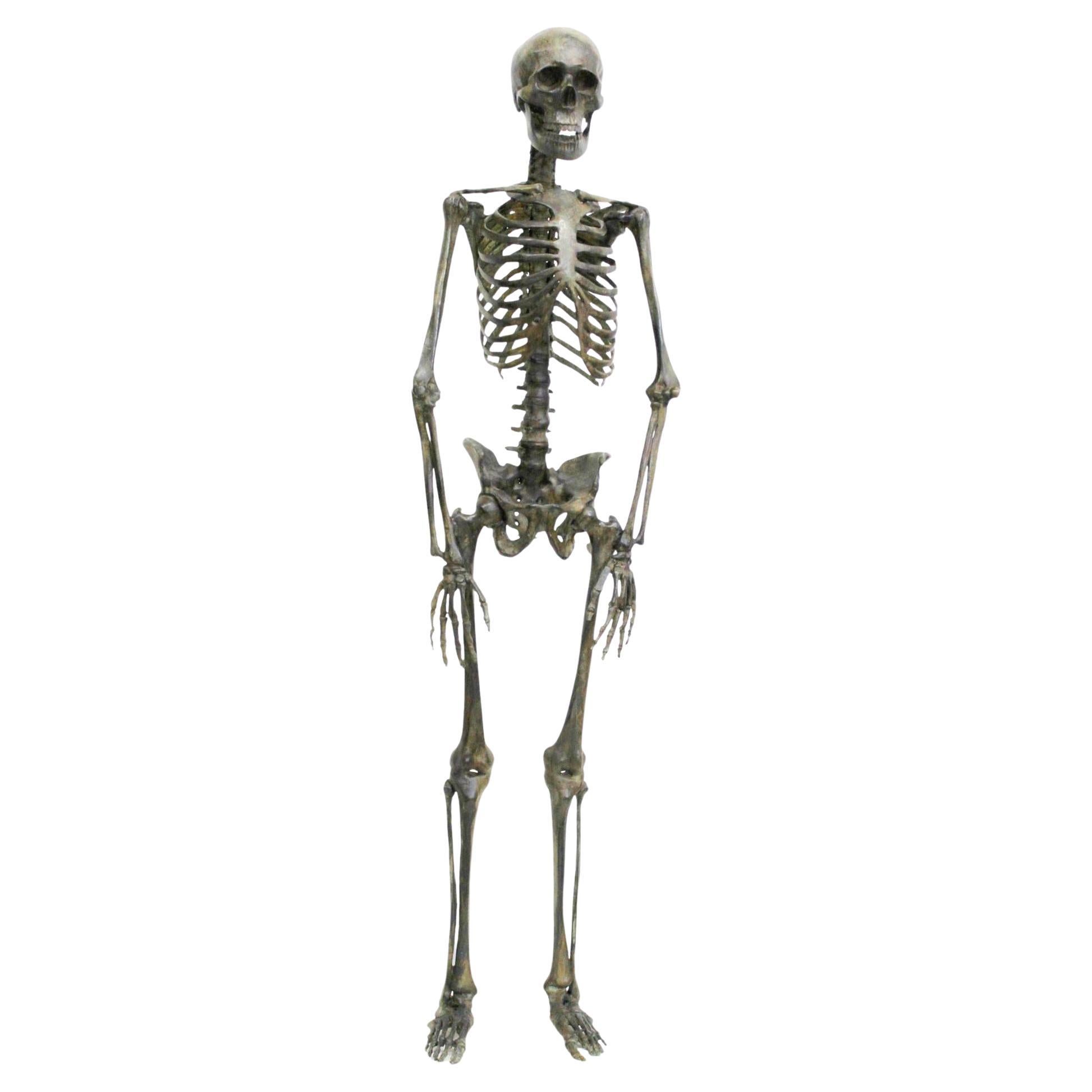 Esqueleto de bronce