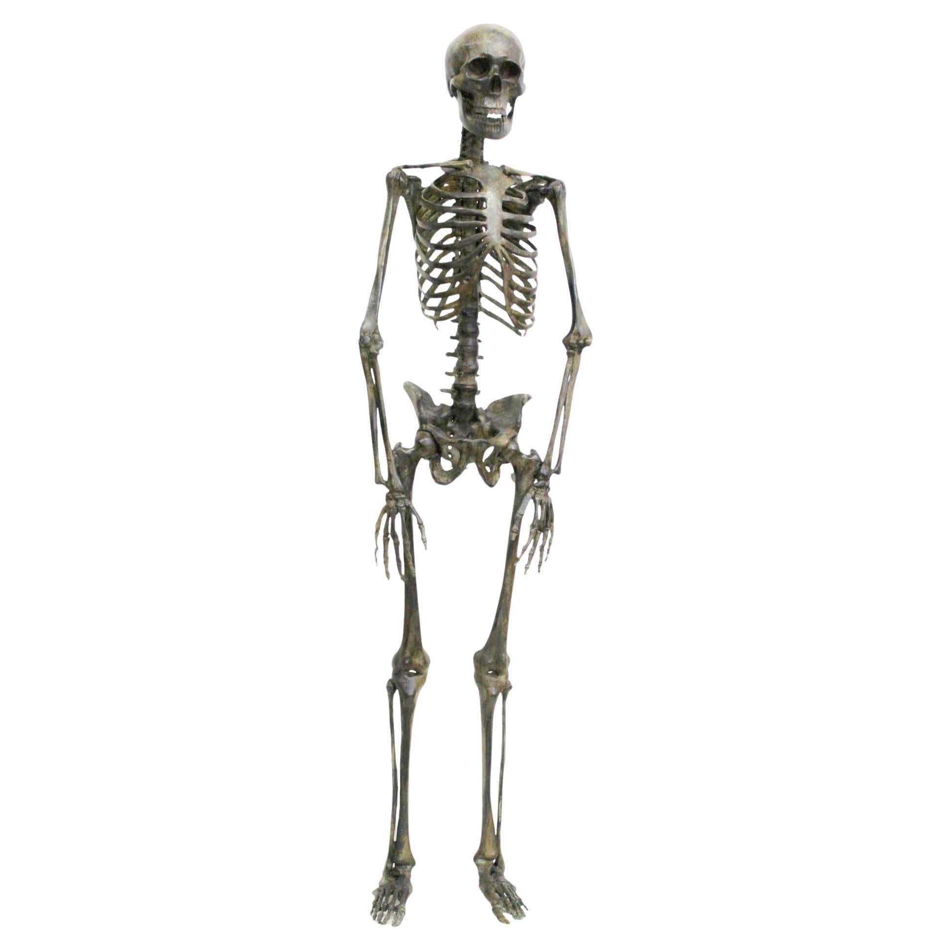 Bronze Skeleton For Sale