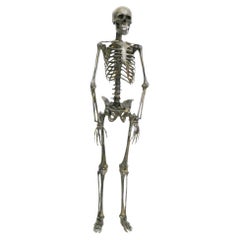 Vintage Bronze Skeleton
