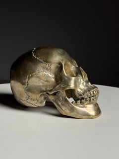 Bronze skull early 20th century