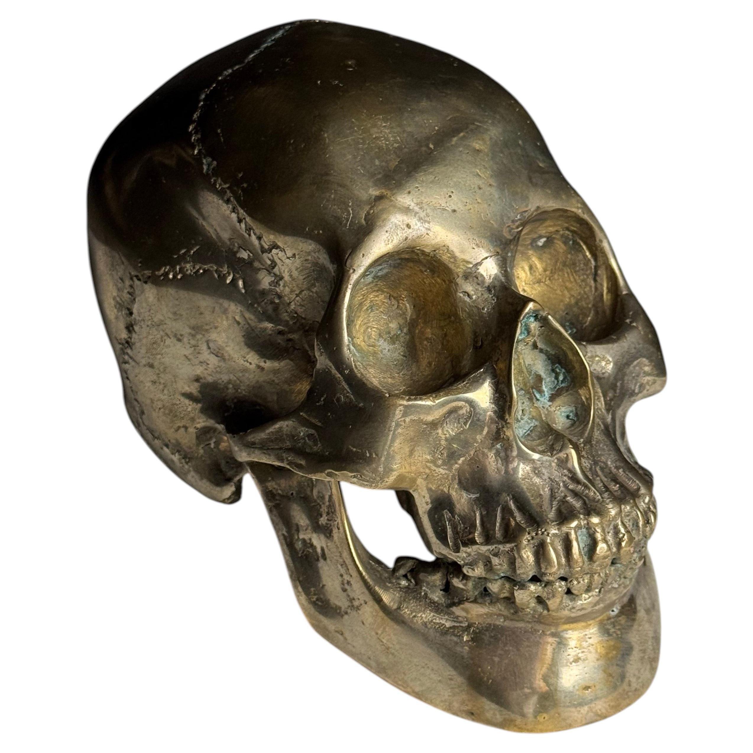 Teschio in bronzo, primi anni del XX secolo
