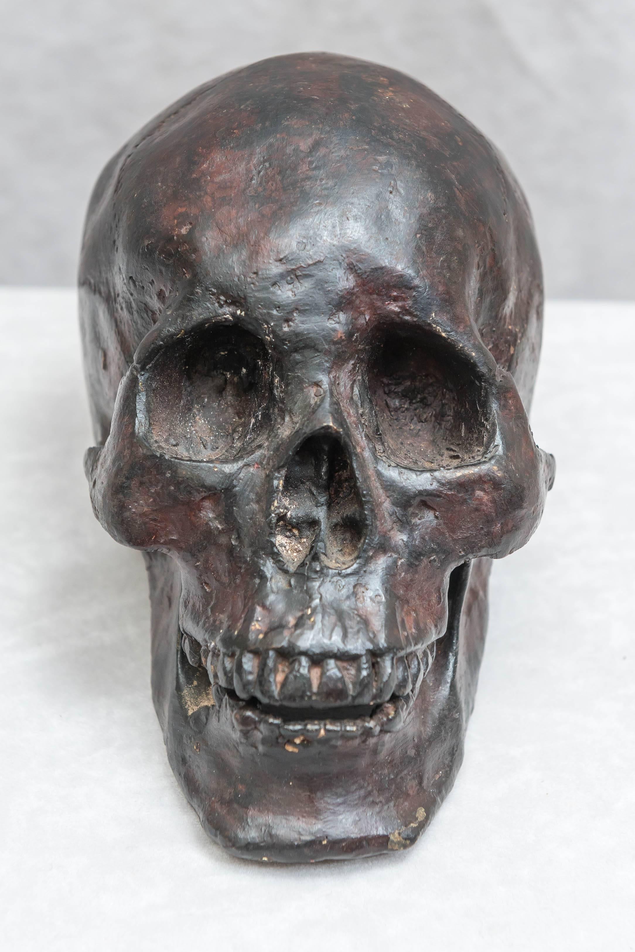 English Bronze Skull