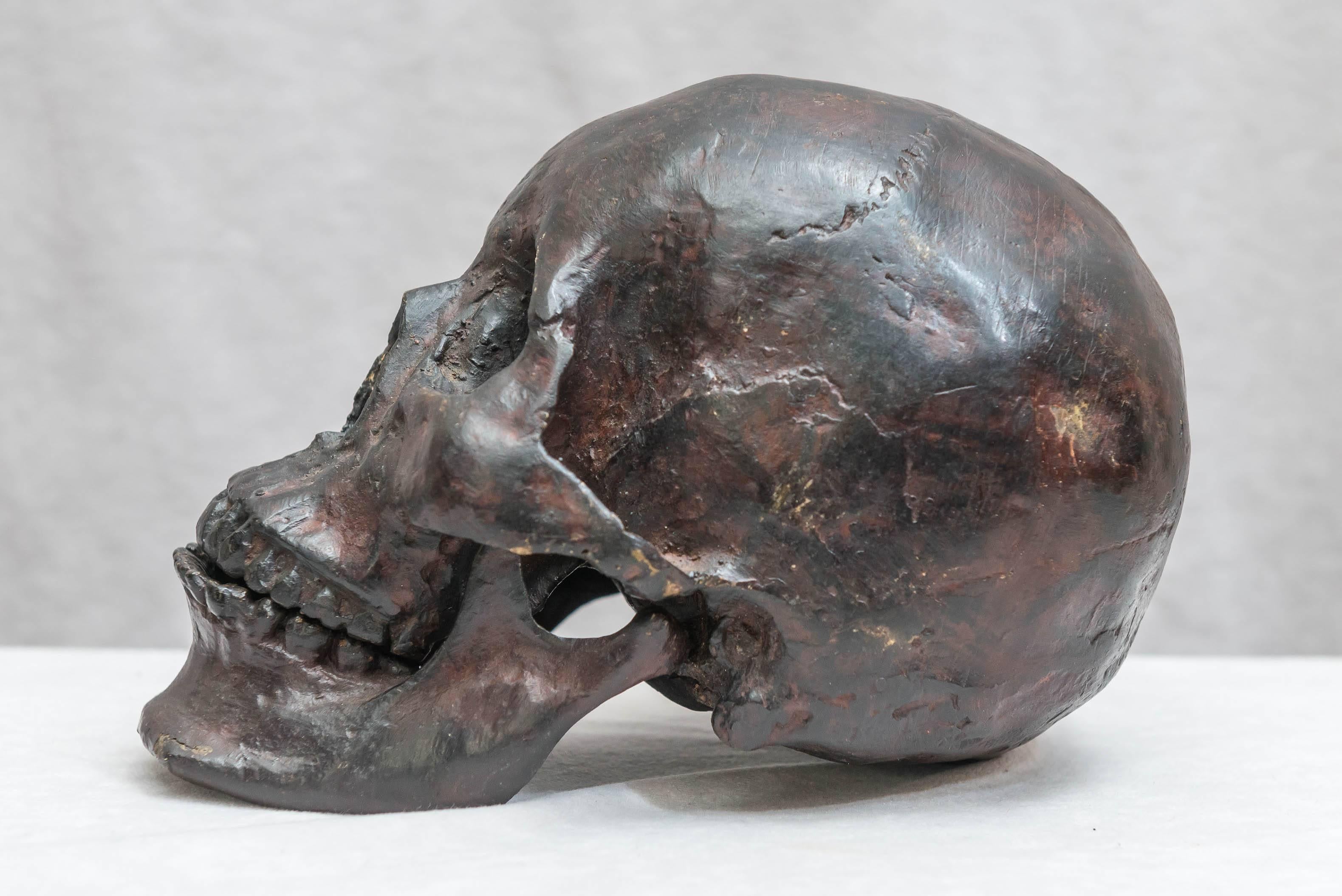Bronze Skull In Good Condition In Petaluma, CA