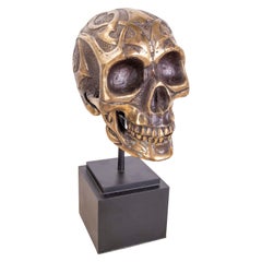 Bronze Skull Head on Square Wooden Base