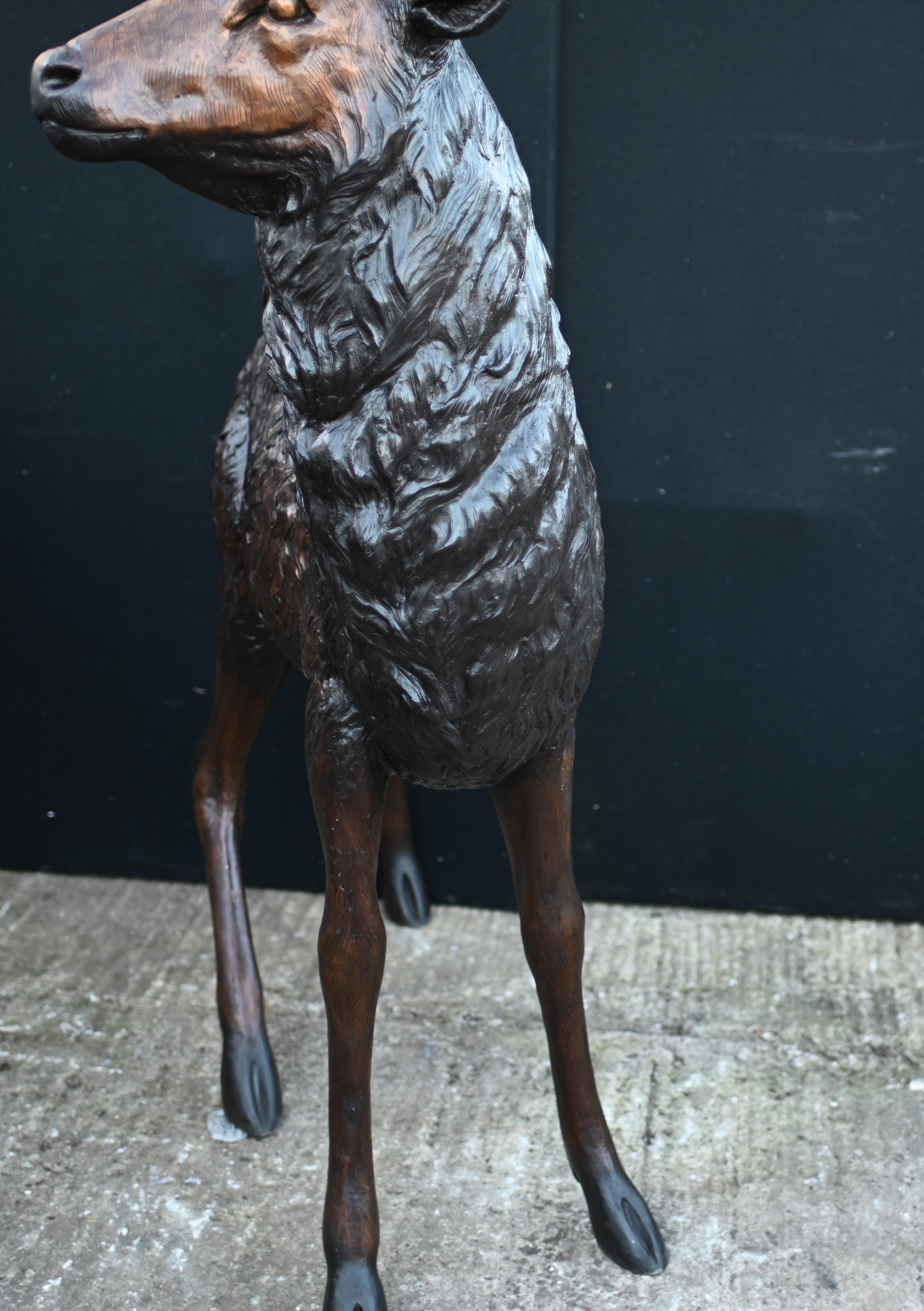 Paire de statues de cerfs et de cerfs en bronze du jardin des Highlands écossais en vente 8