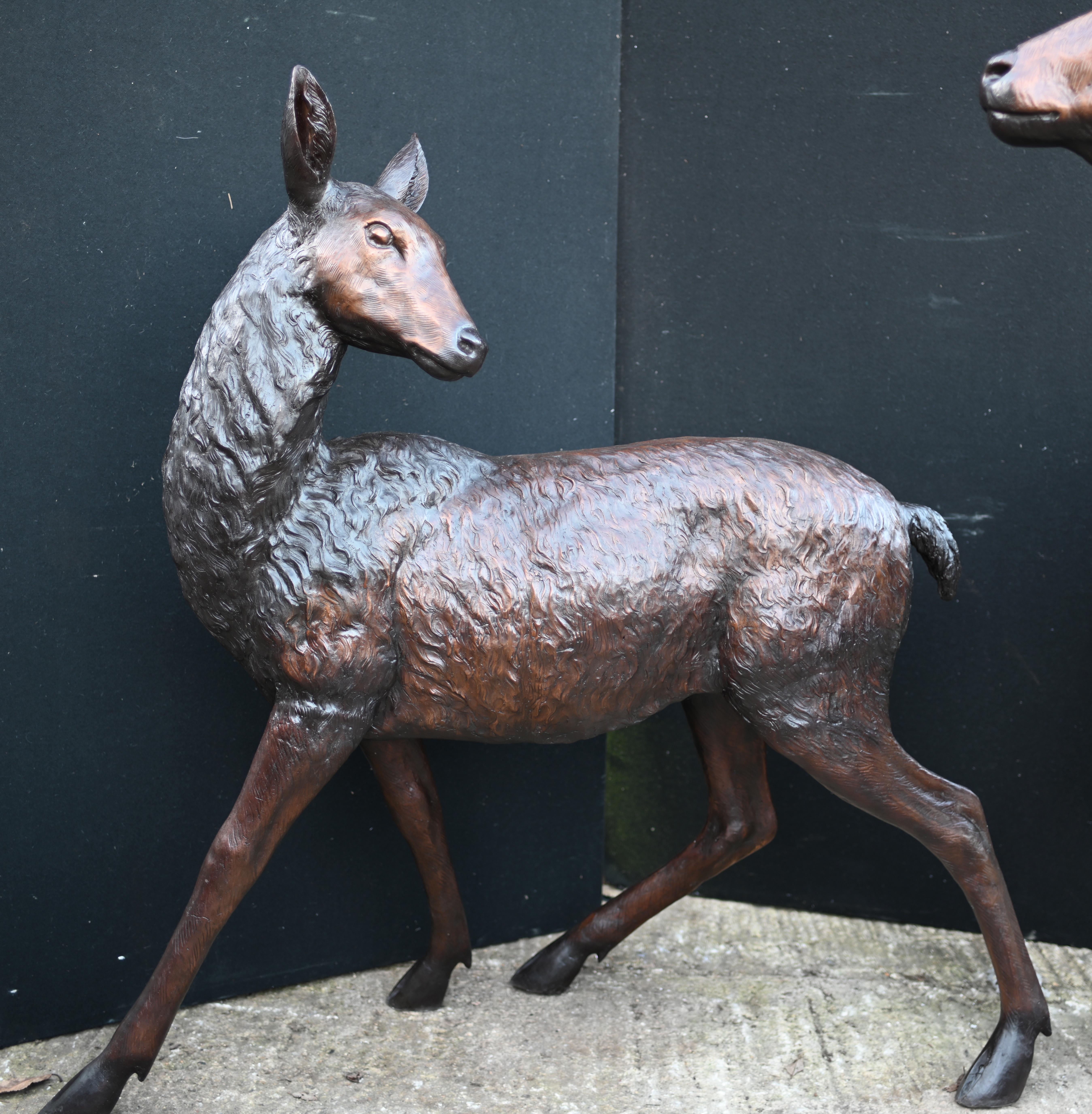 Pareja de estatuas de bronce de ciervo y venado Piezas de fundición escocesas para jardín de las Highlands en Bueno estado para la venta en Potters Bar, GB