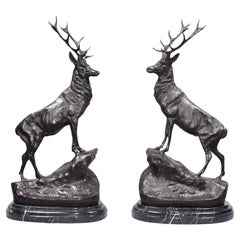 Cervi in bronzo firmati Moigniez Coppia di statue di cervi e alci