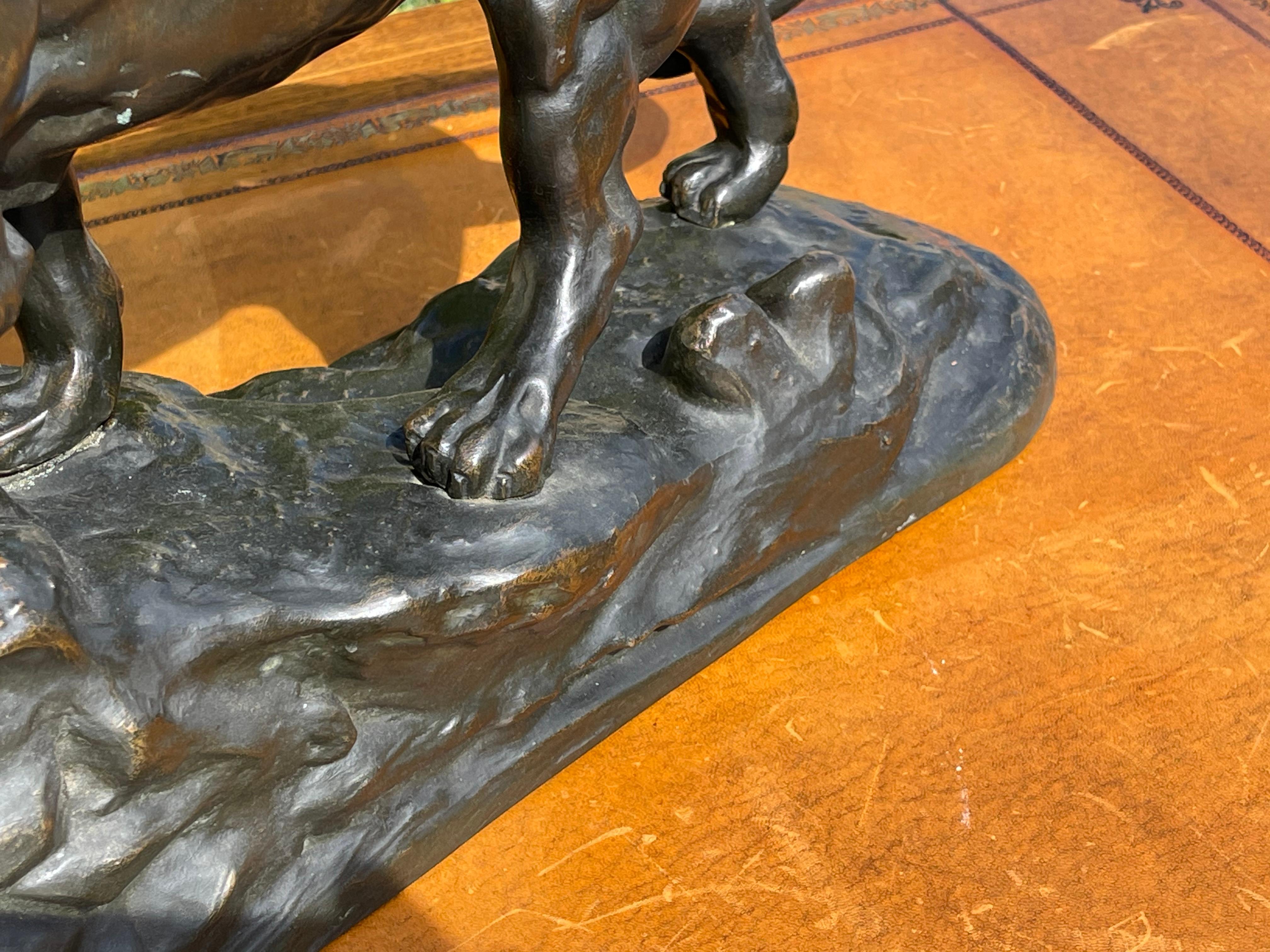 Bronze Statue, Roaring Lion, 19th Century For Sale 5