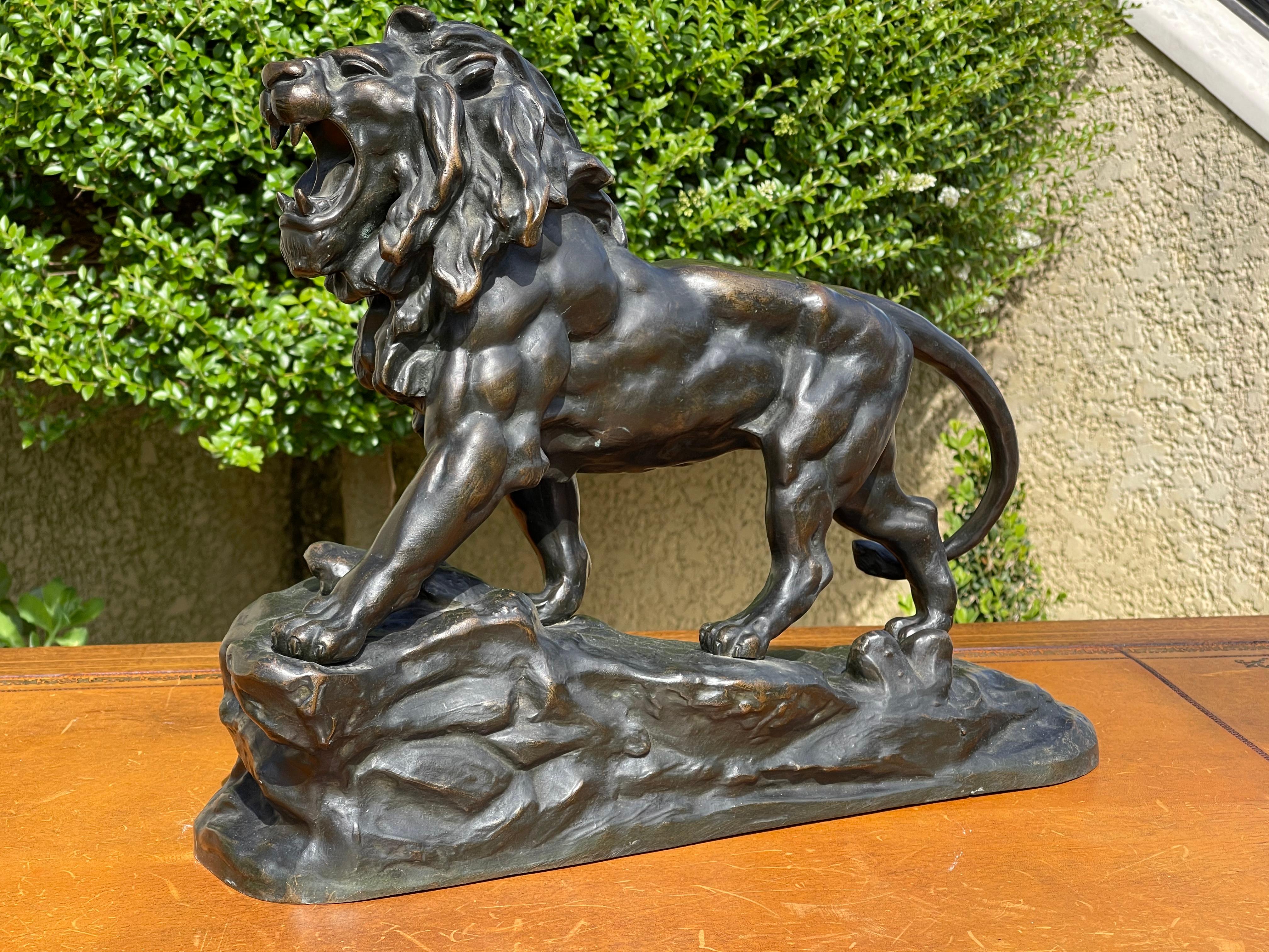 Bronze Statue, Roaring Lion, 19th Century For Sale 11